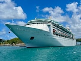 a large cruise ship in the middle of the ocean
