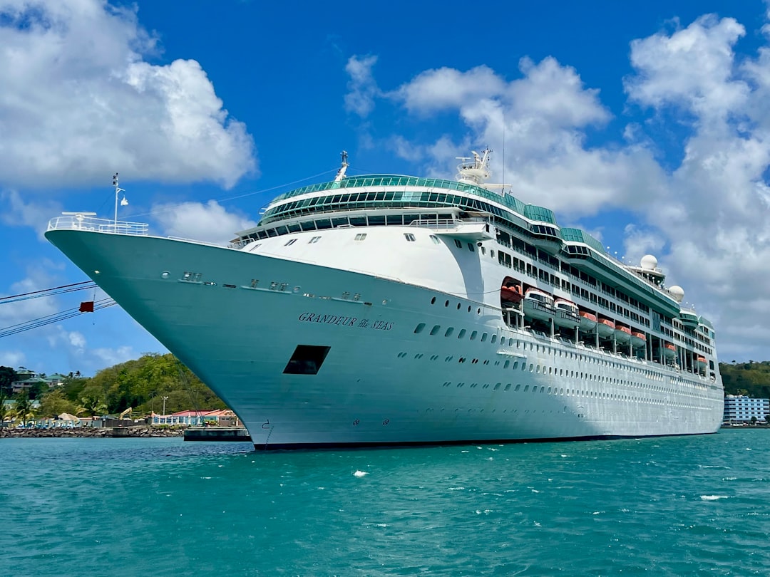 a large cruise ship in the middle of the ocean,, photo 2