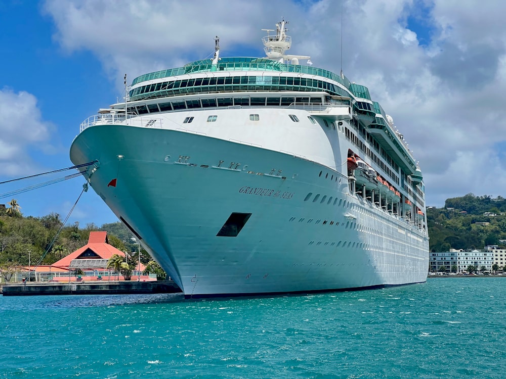 a cruise ship in the water near a dock