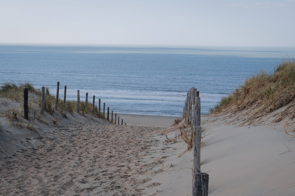 a path to the beach leading to the ocean