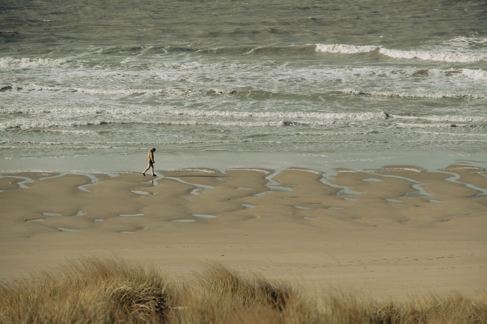 a person standing on a beach next to the ocean