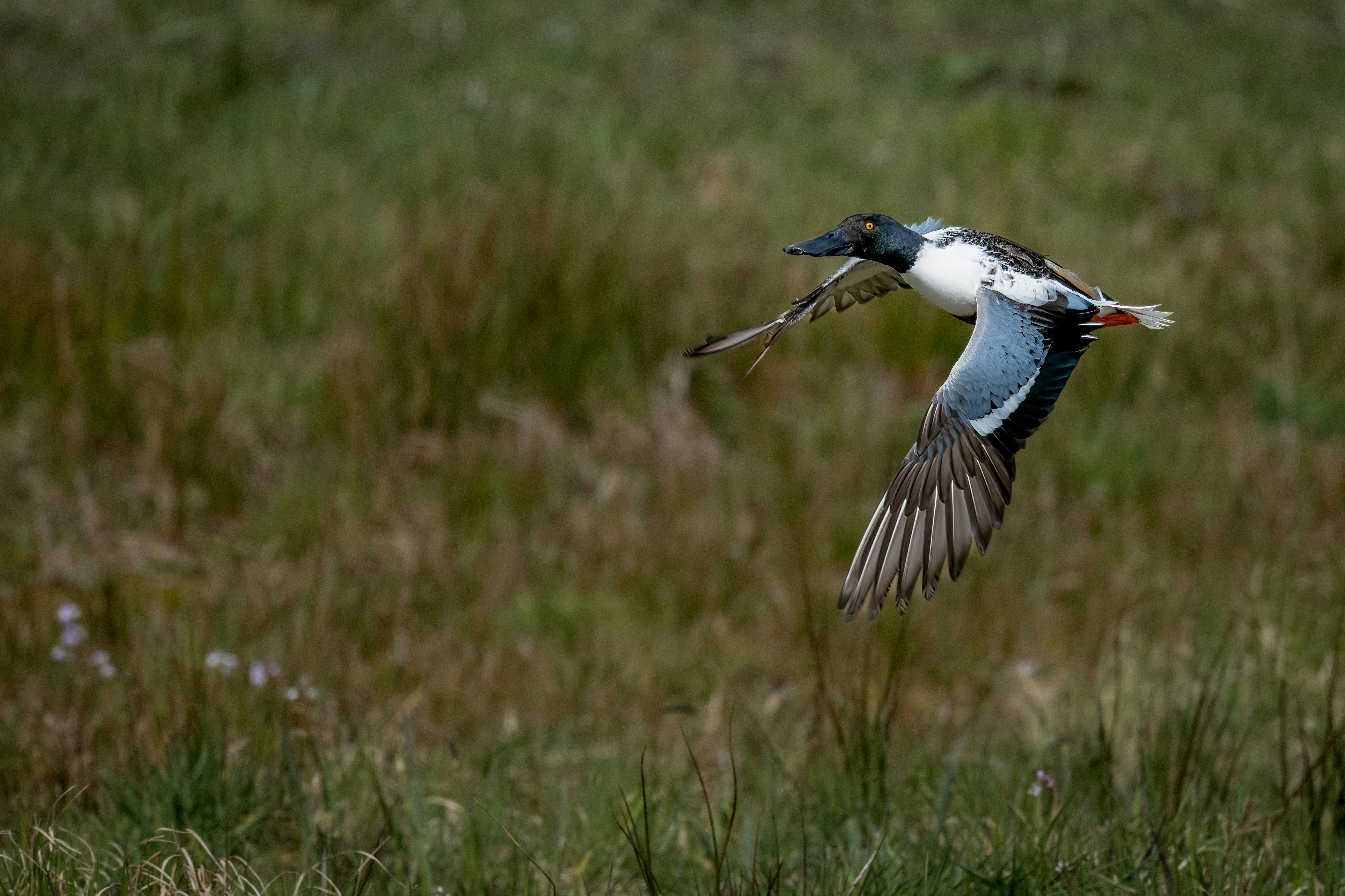 Photo by vincentvanzalinge