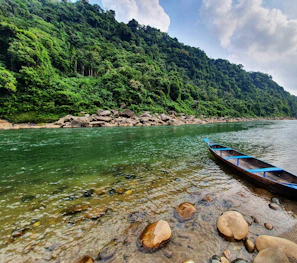 a boat is sitting on the shore of a river