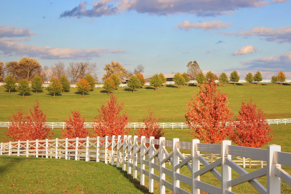 a white fence in front of a green field