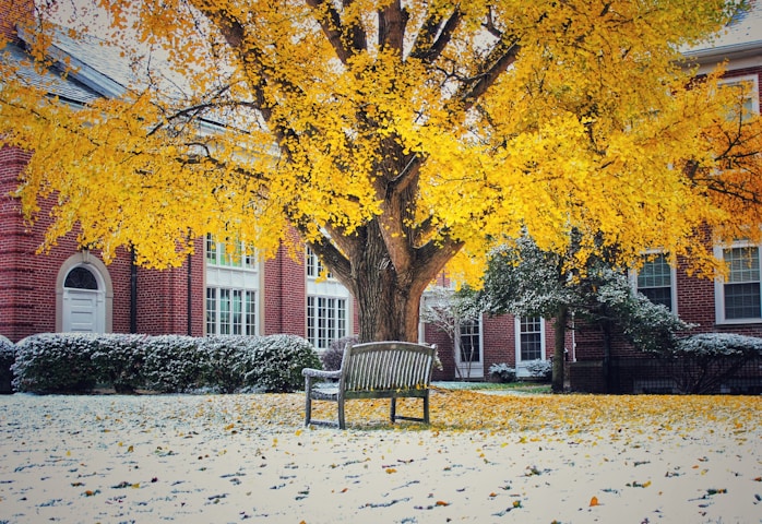 Northern Kentucky University