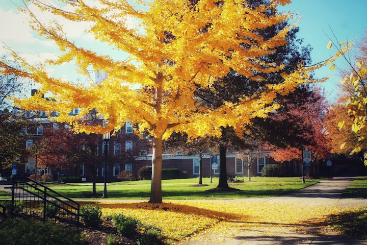 Northern Kentucky University