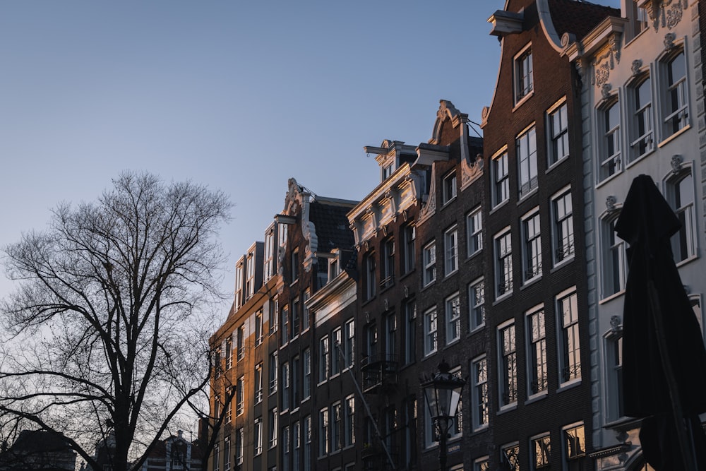 a row of buildings with a clock tower in the background