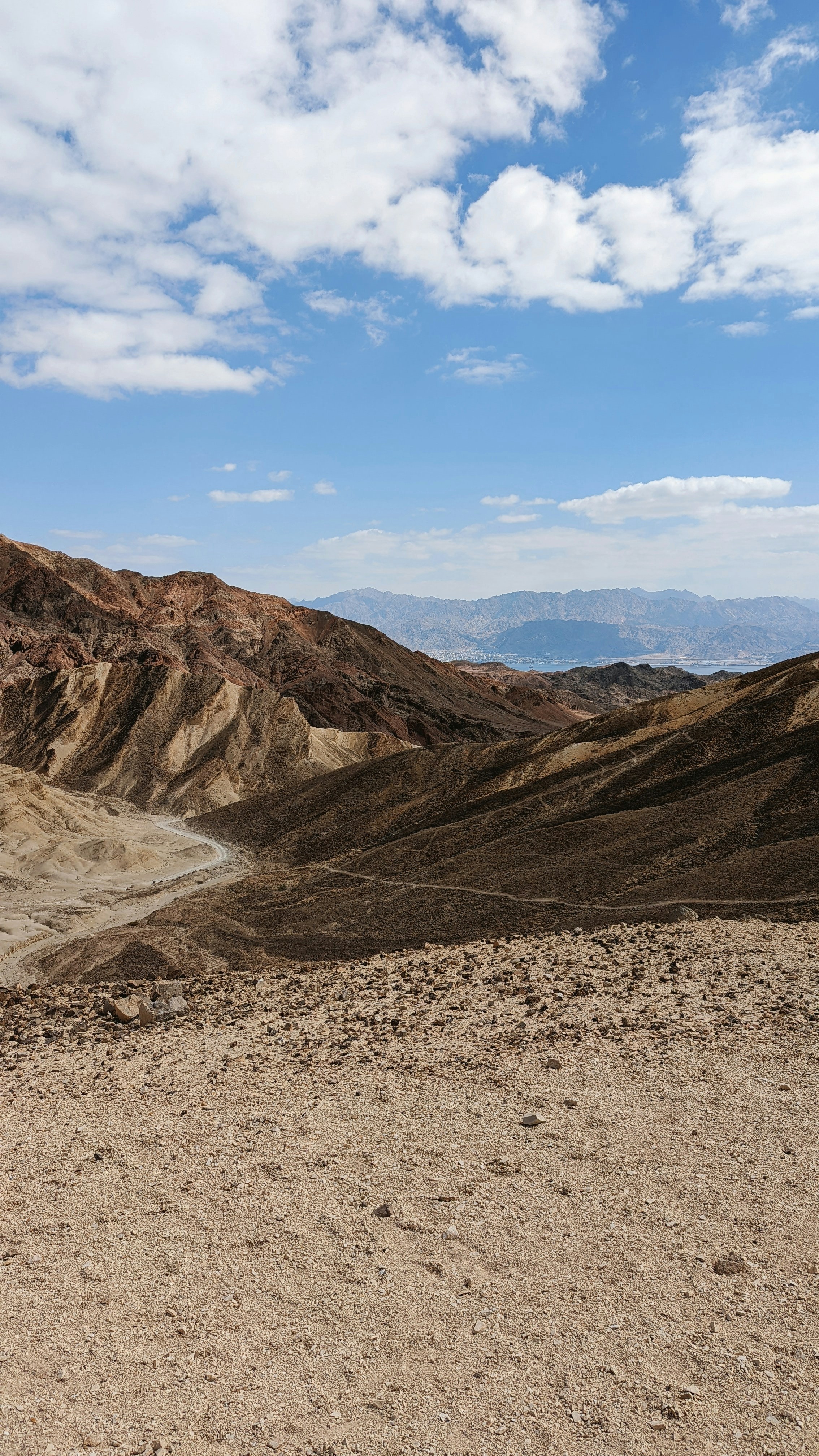 Heat-Resistant Thermophiles (image credits: unsplash)