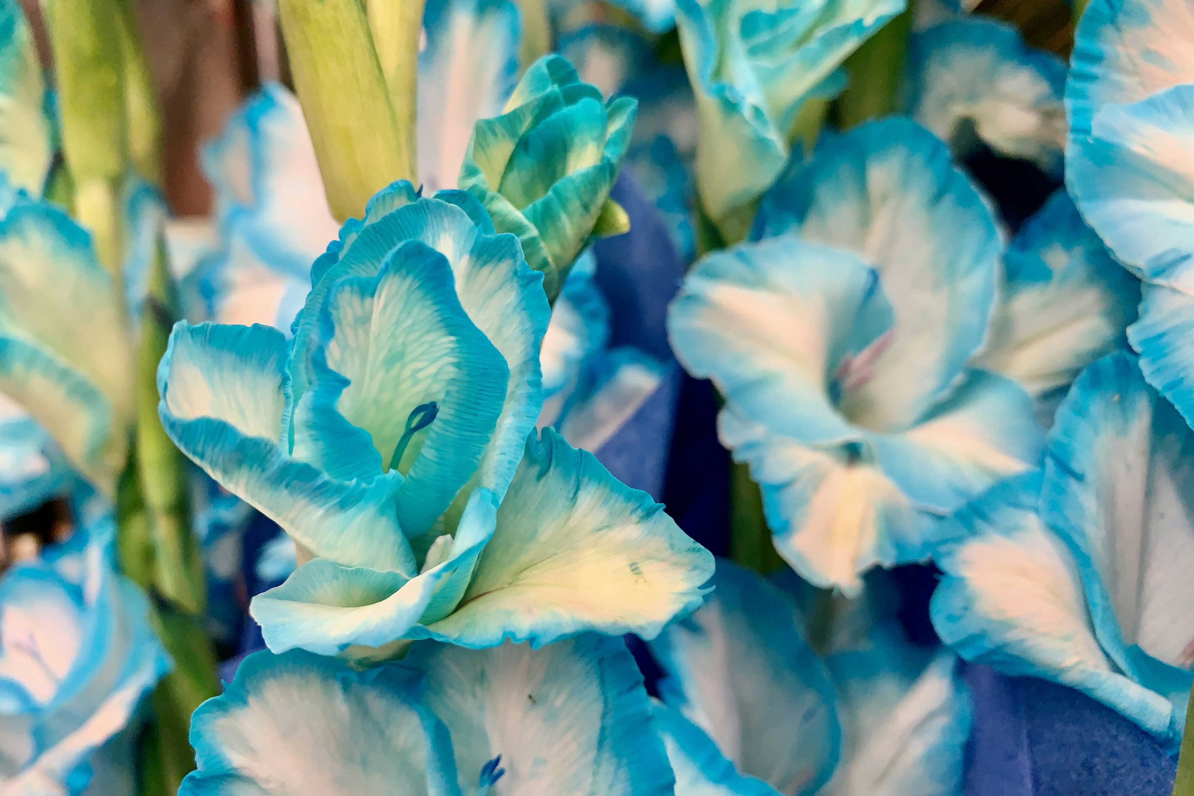 Photo by bossx918spy