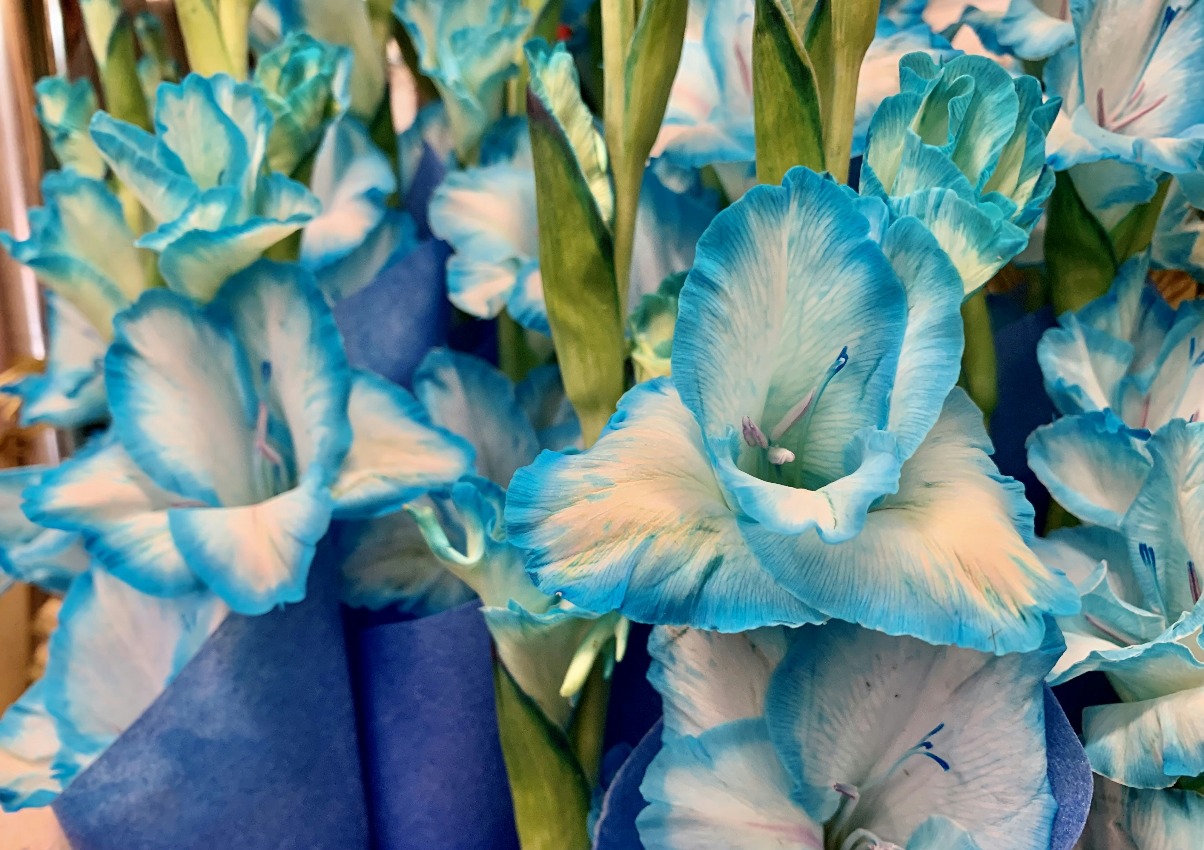 Photo by bossx918spy