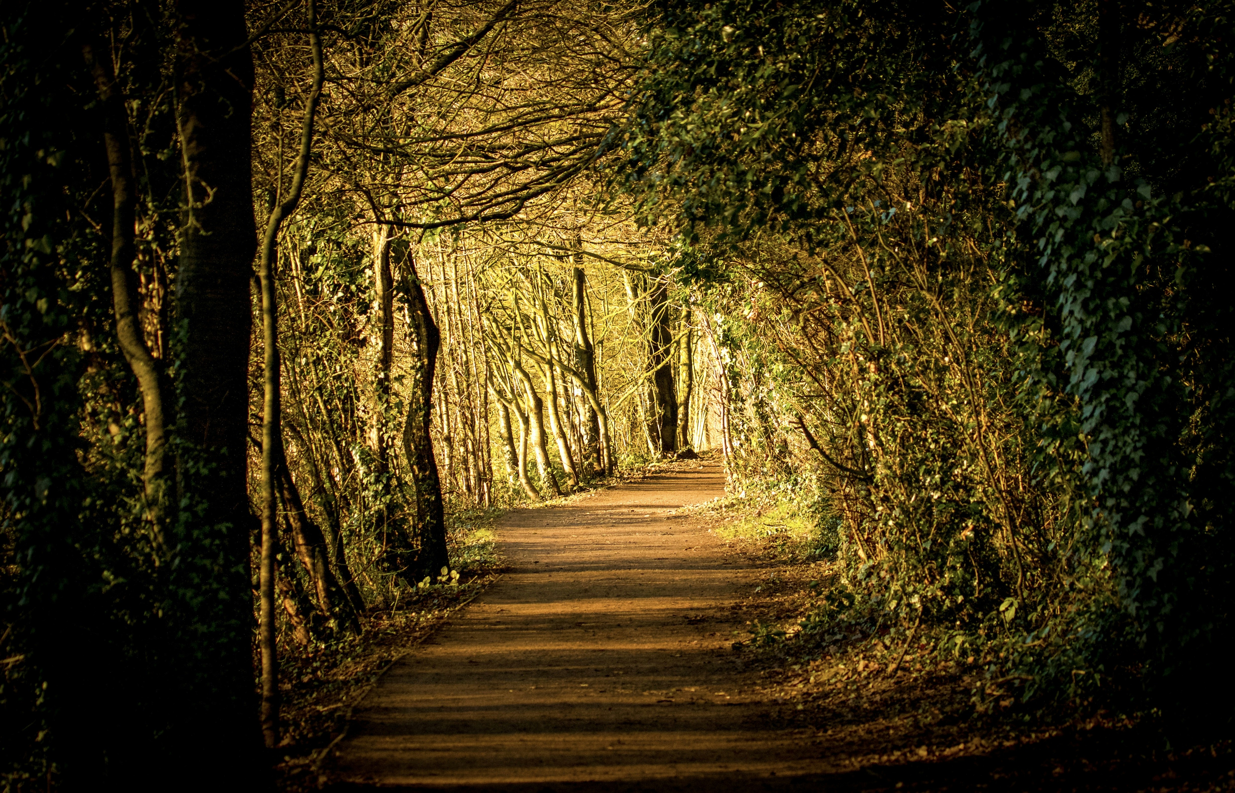 Photo by heather_wilde