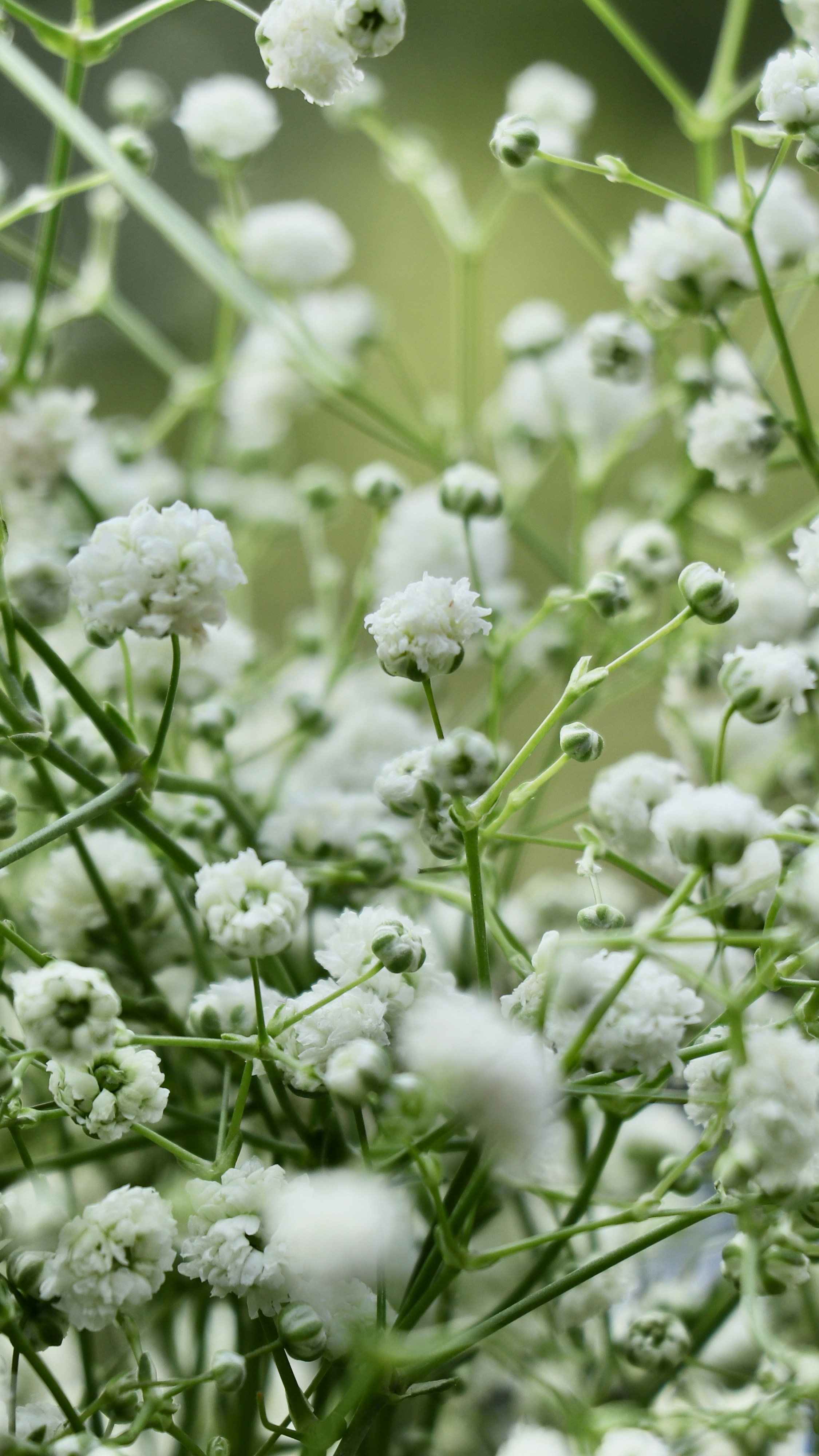 Photo by bossx918spy