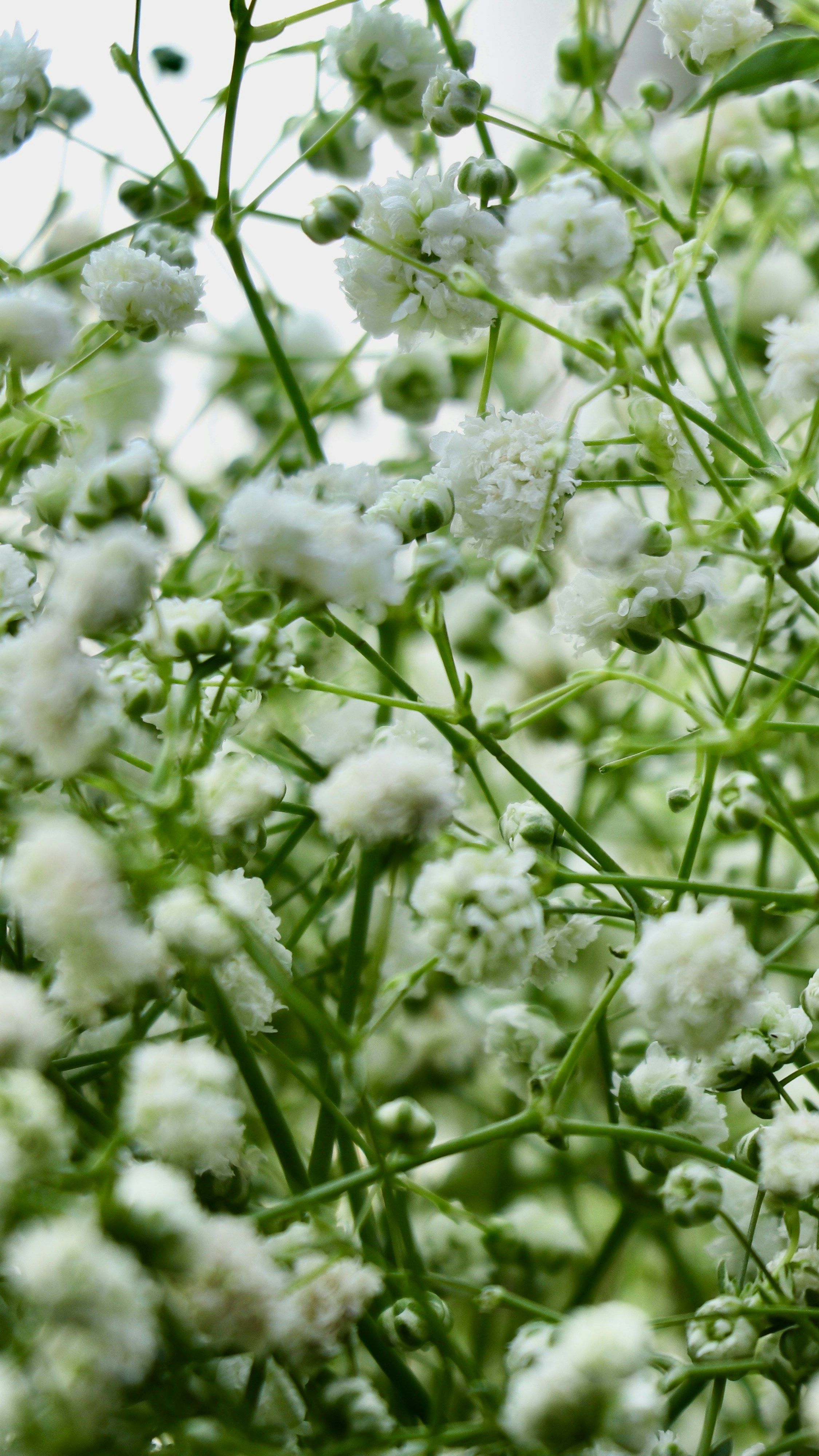 Photo by bossx918spy