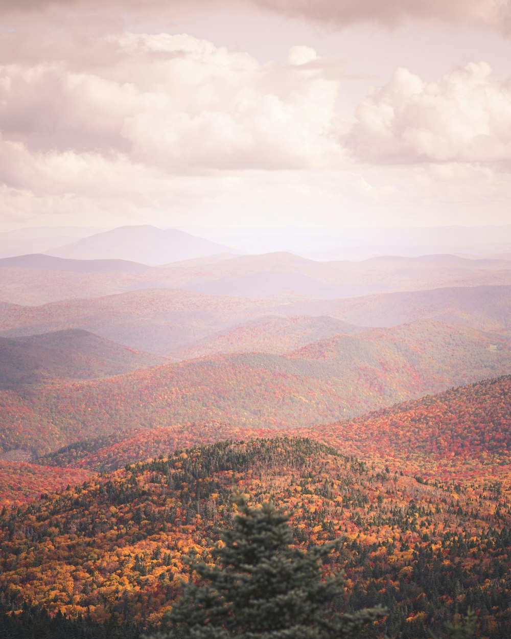 a scenic view of a mountain range in the fall