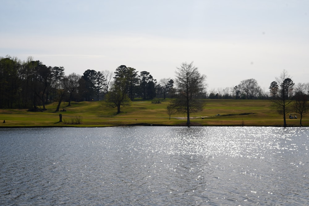 a large body of water sitting next to a lush green field