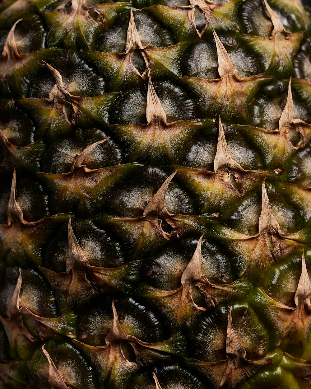 a close up of a pineapple with lots of leaves