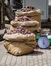a pile of beans sitting next to a scale