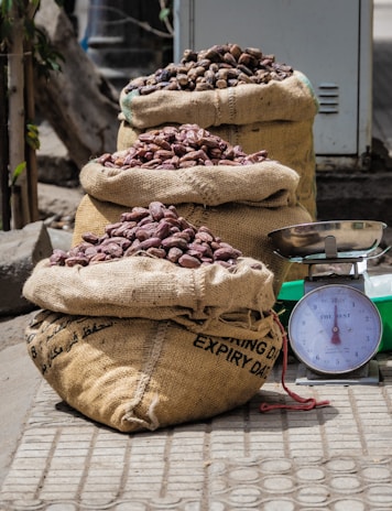 a pile of beans sitting next to a scale