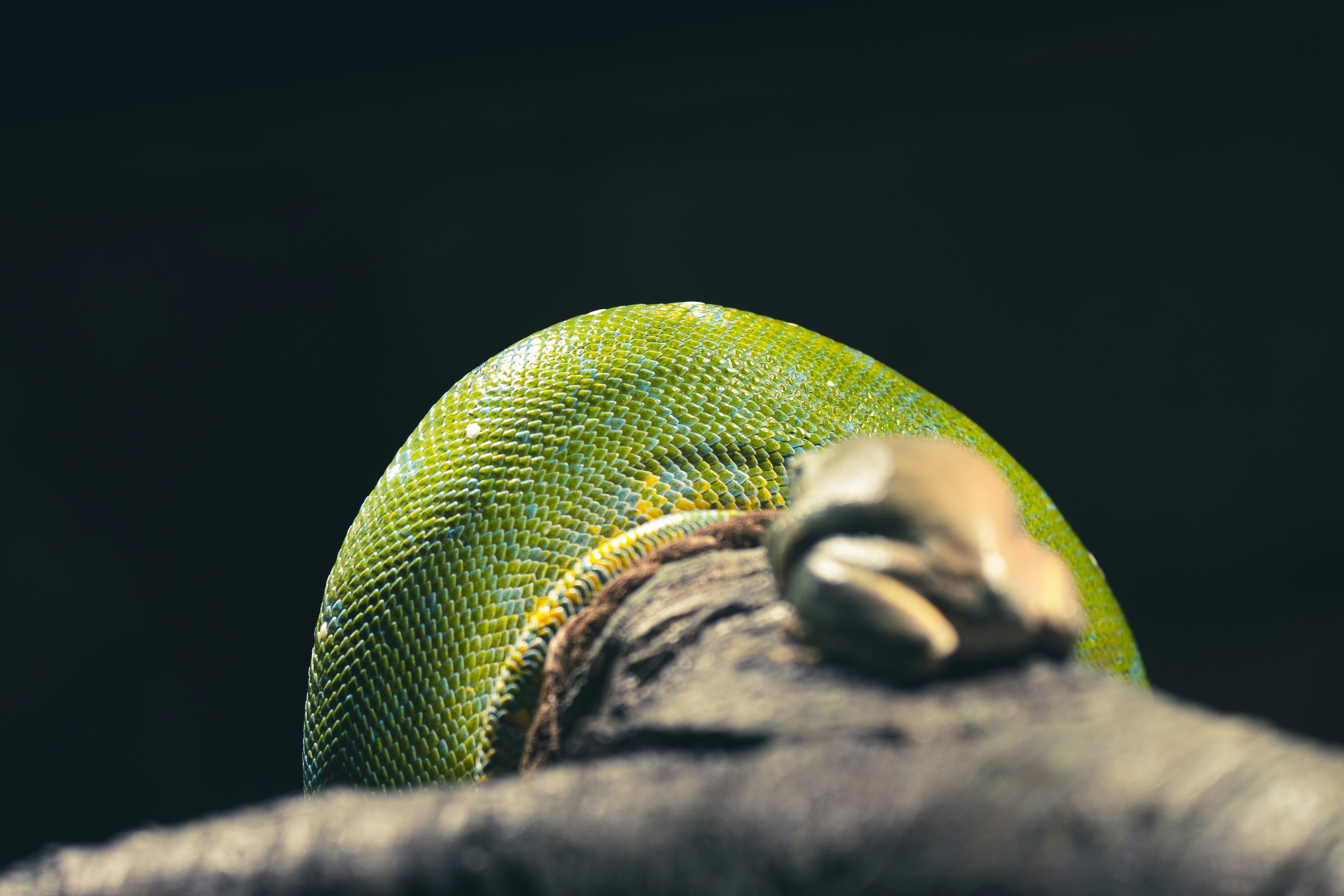 Photo by jerandwernhammar