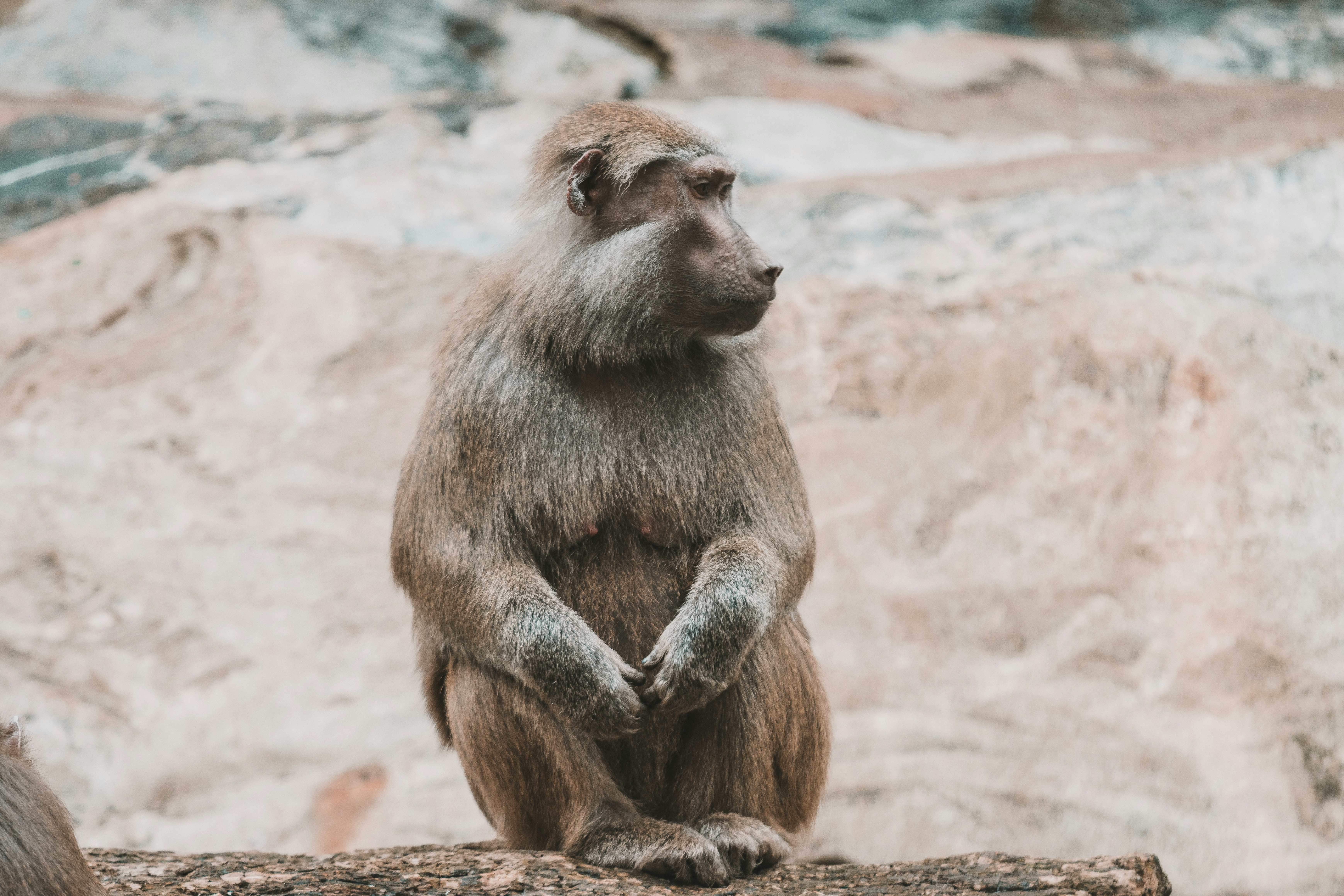 Photo by jerandwernhammar