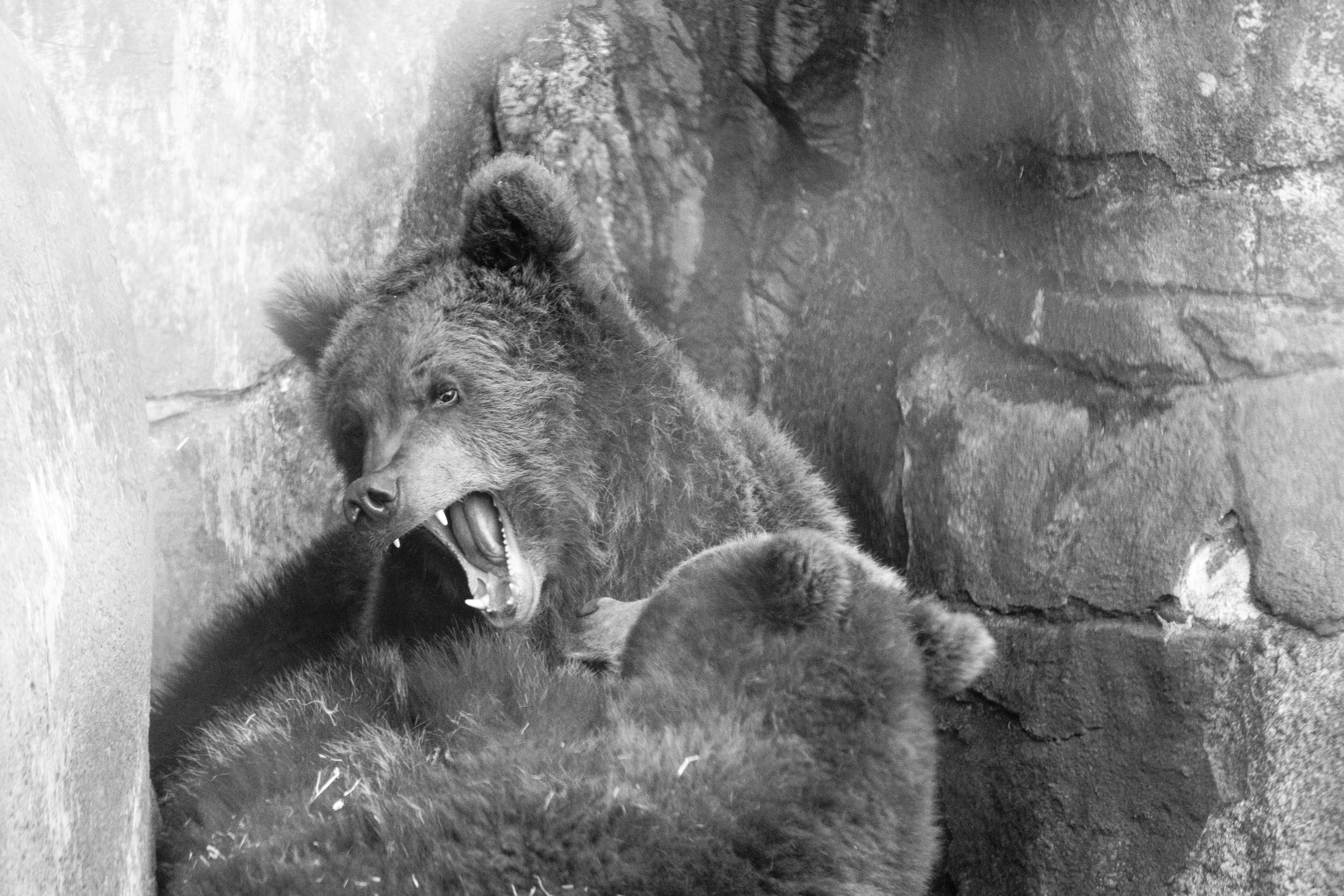 Photo by jerandwernhammar