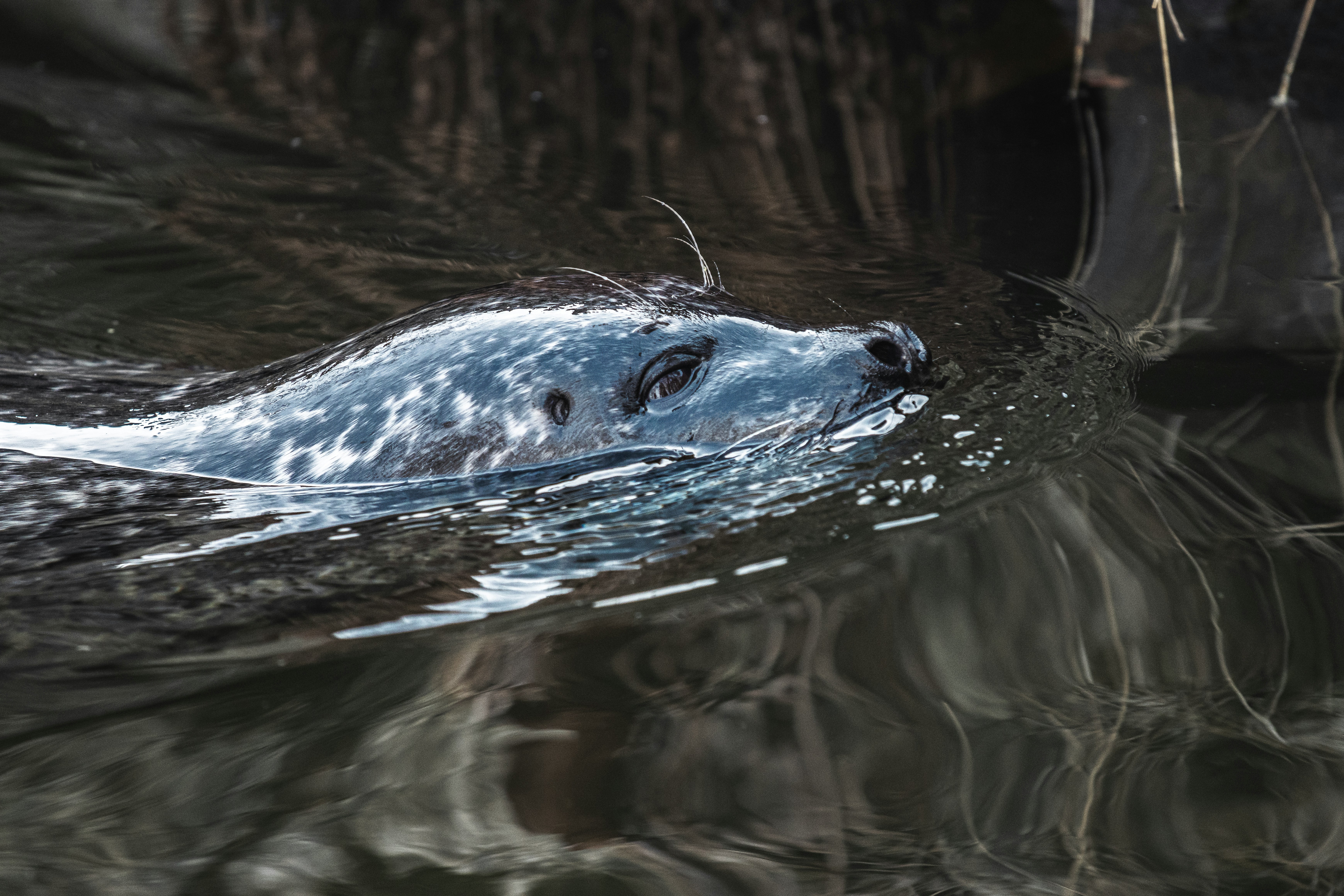 Photo by jerandwernhammar