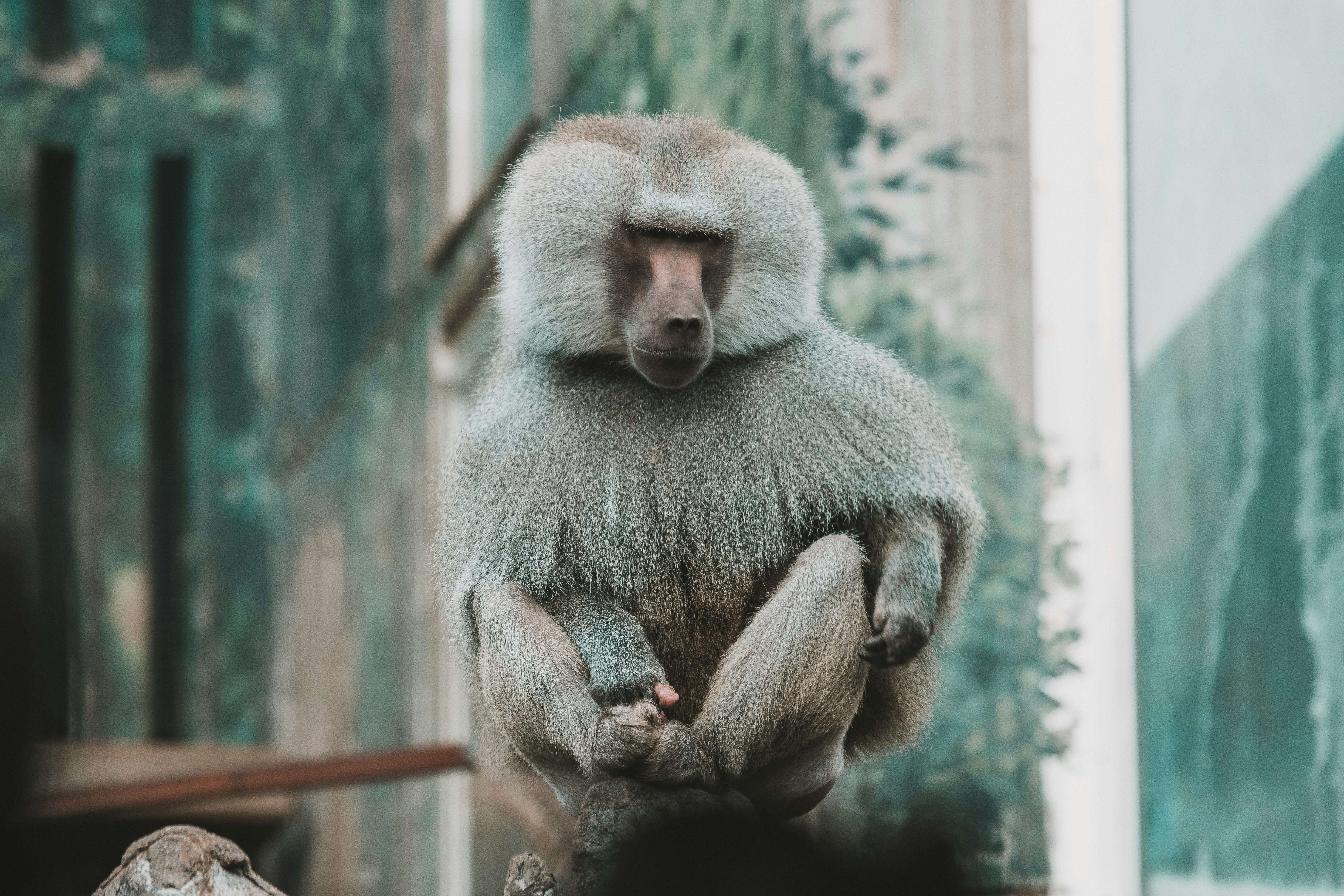 Photo by jerandwernhammar