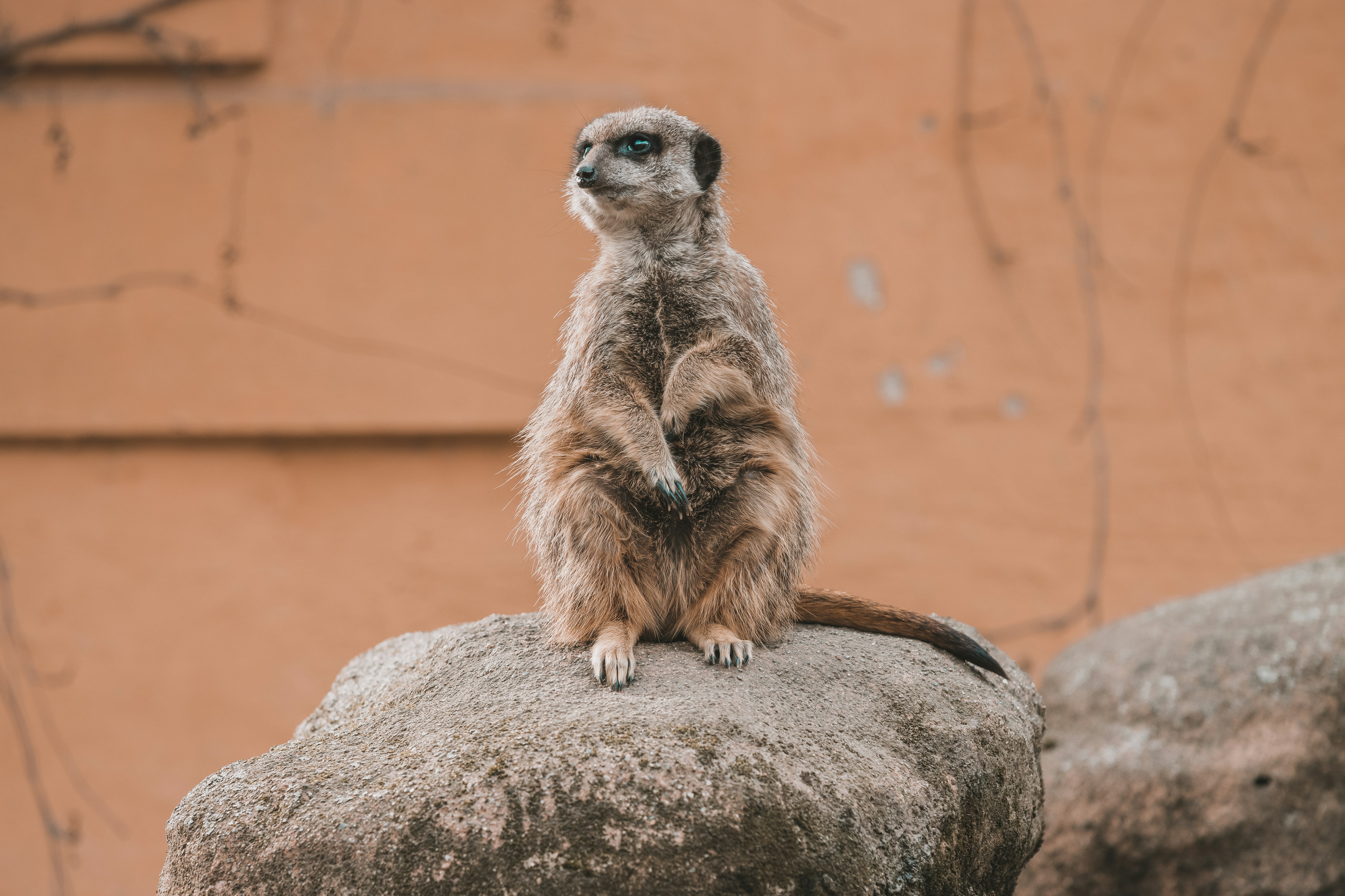 Photo by jerandwernhammar