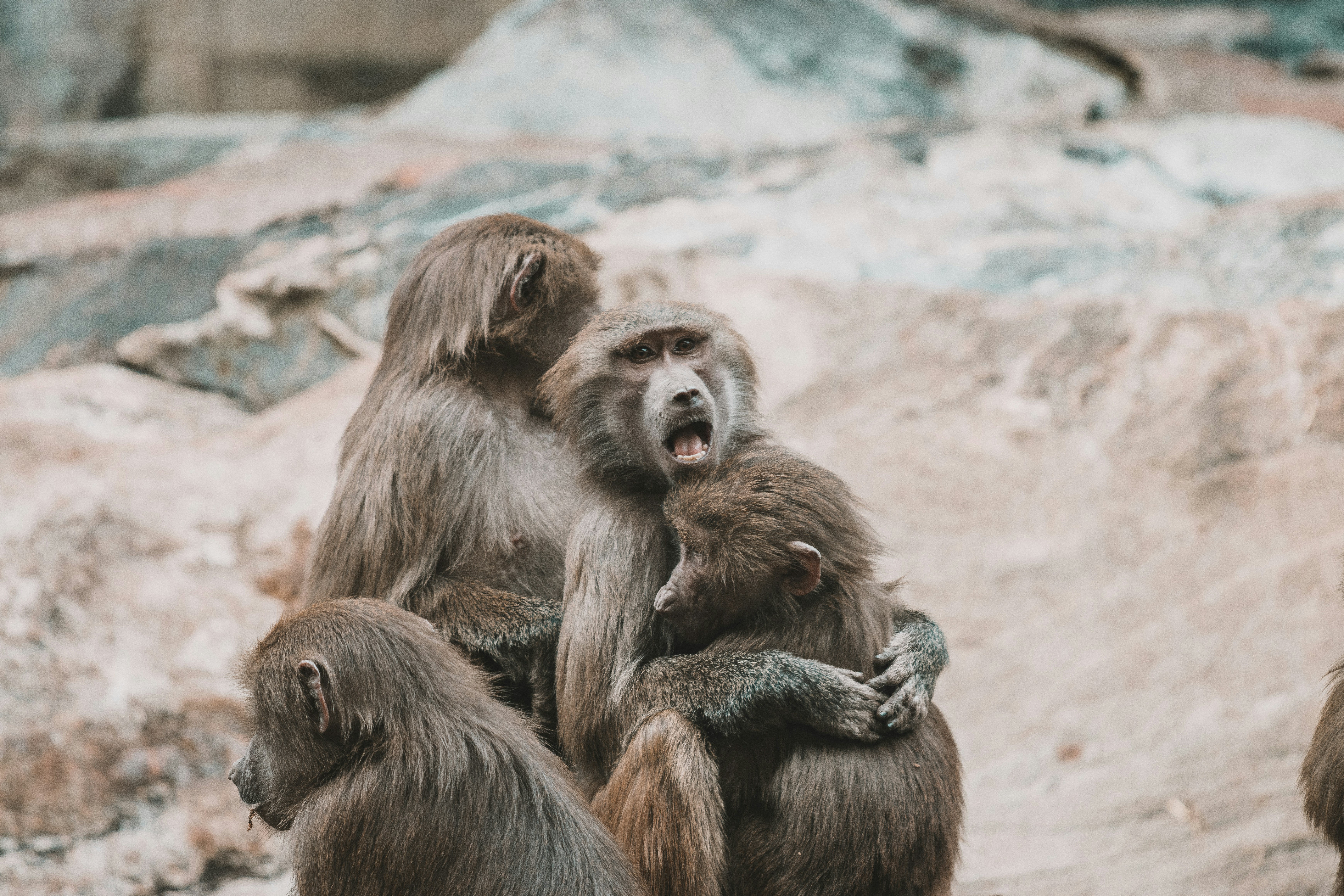 Photo by jerandwernhammar