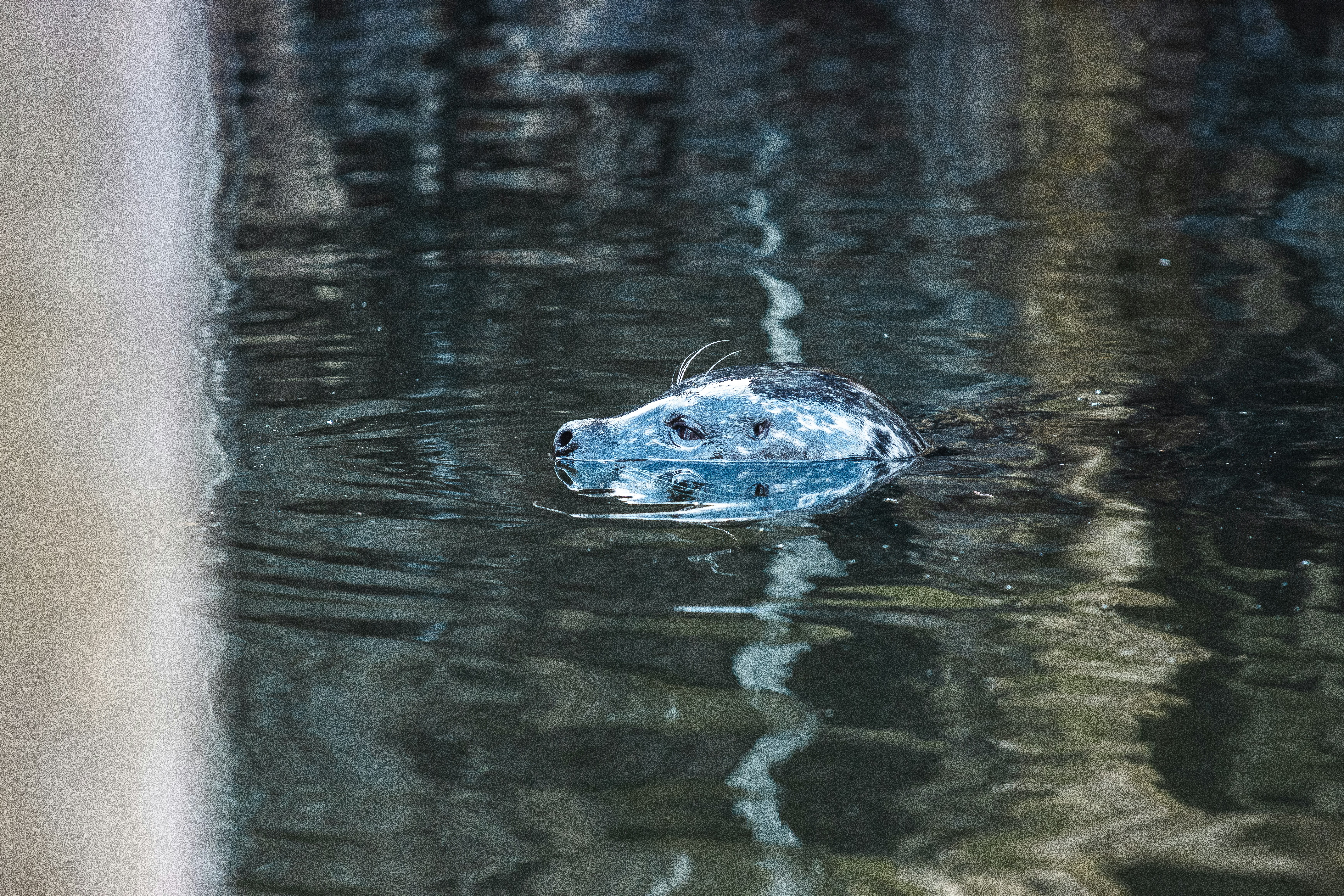 Photo by jerandwernhammar