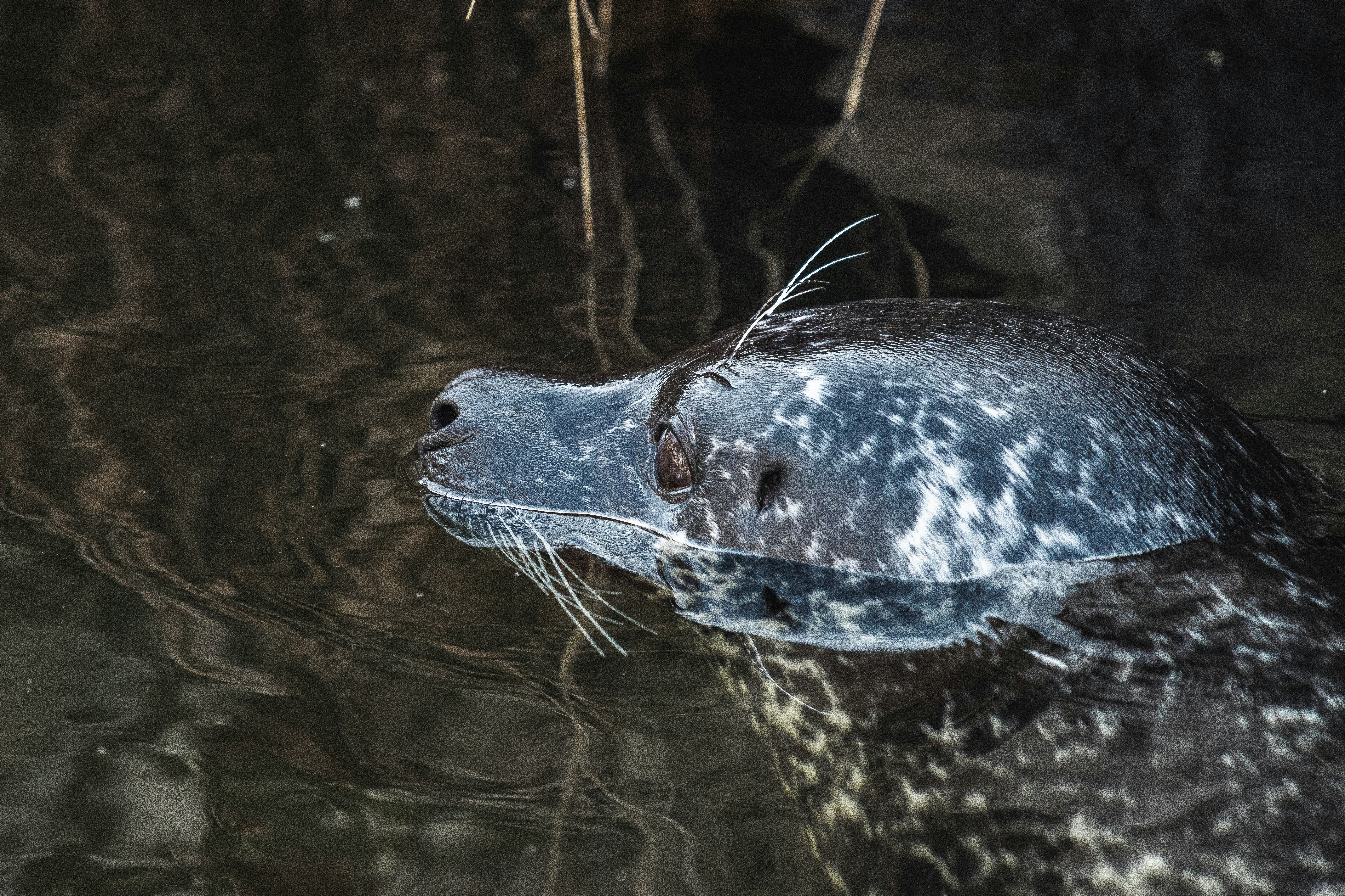 Photo by jerandwernhammar