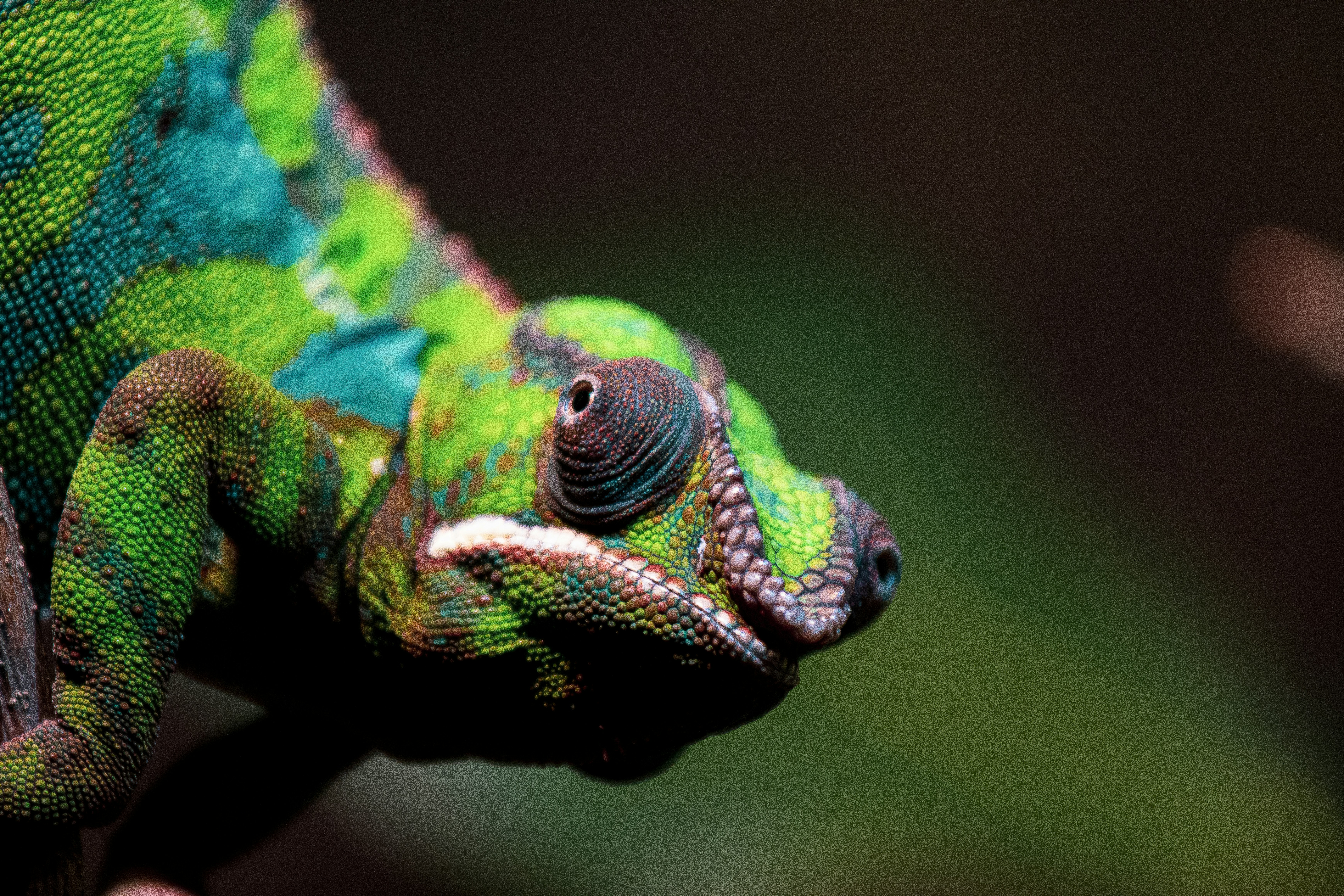 Photo by jerandwernhammar