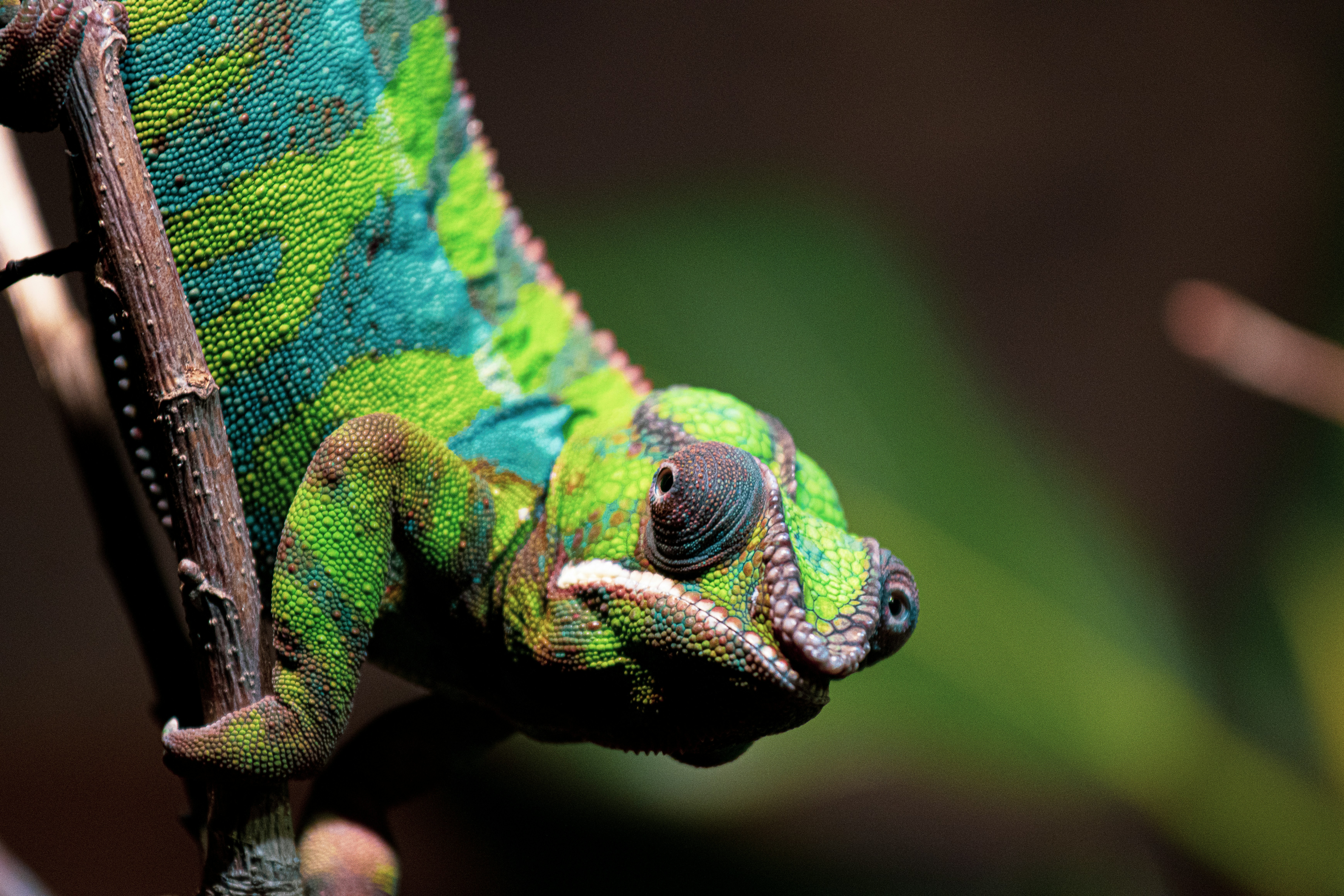 Photo by jerandwernhammar