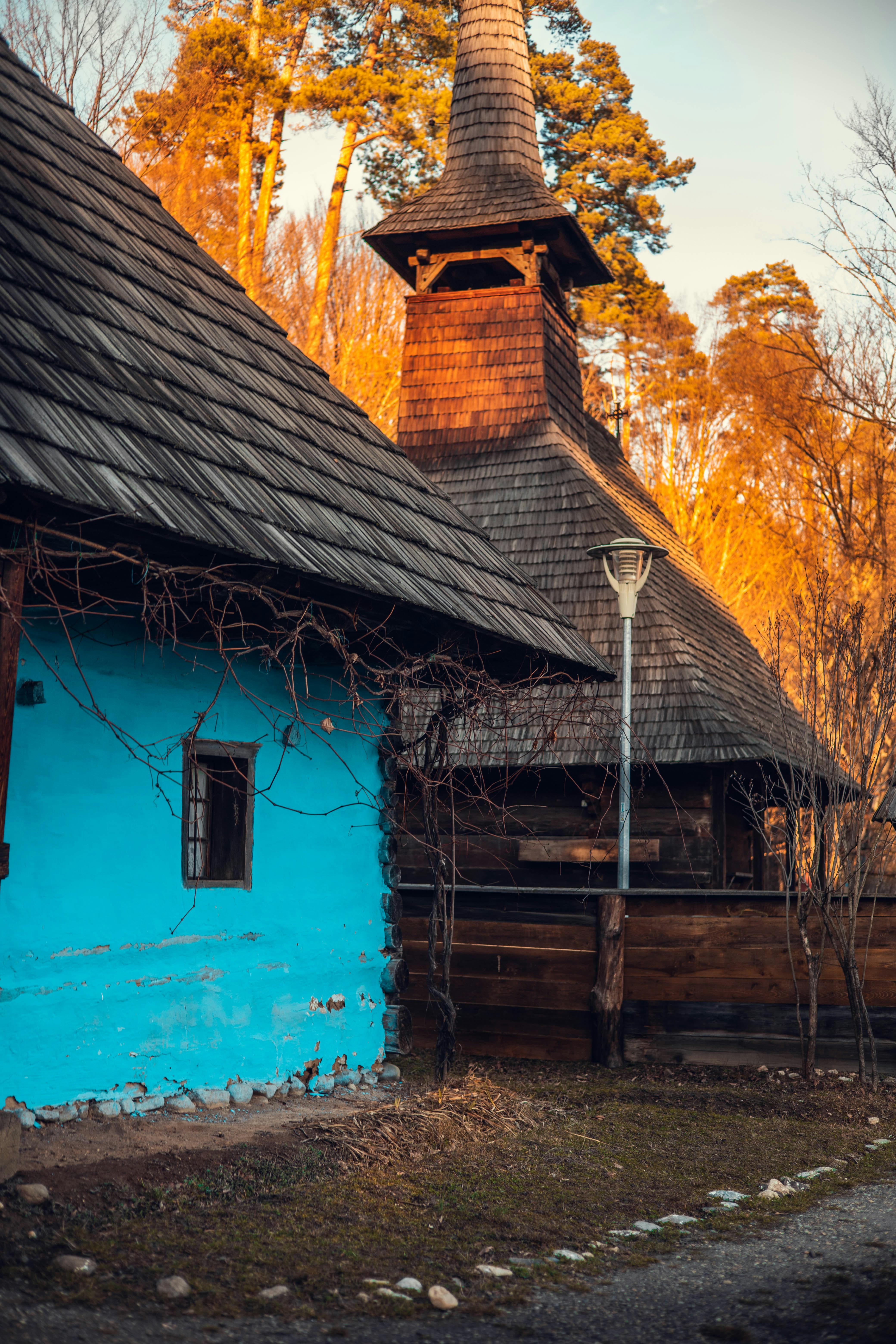 Photo by roscoadrian