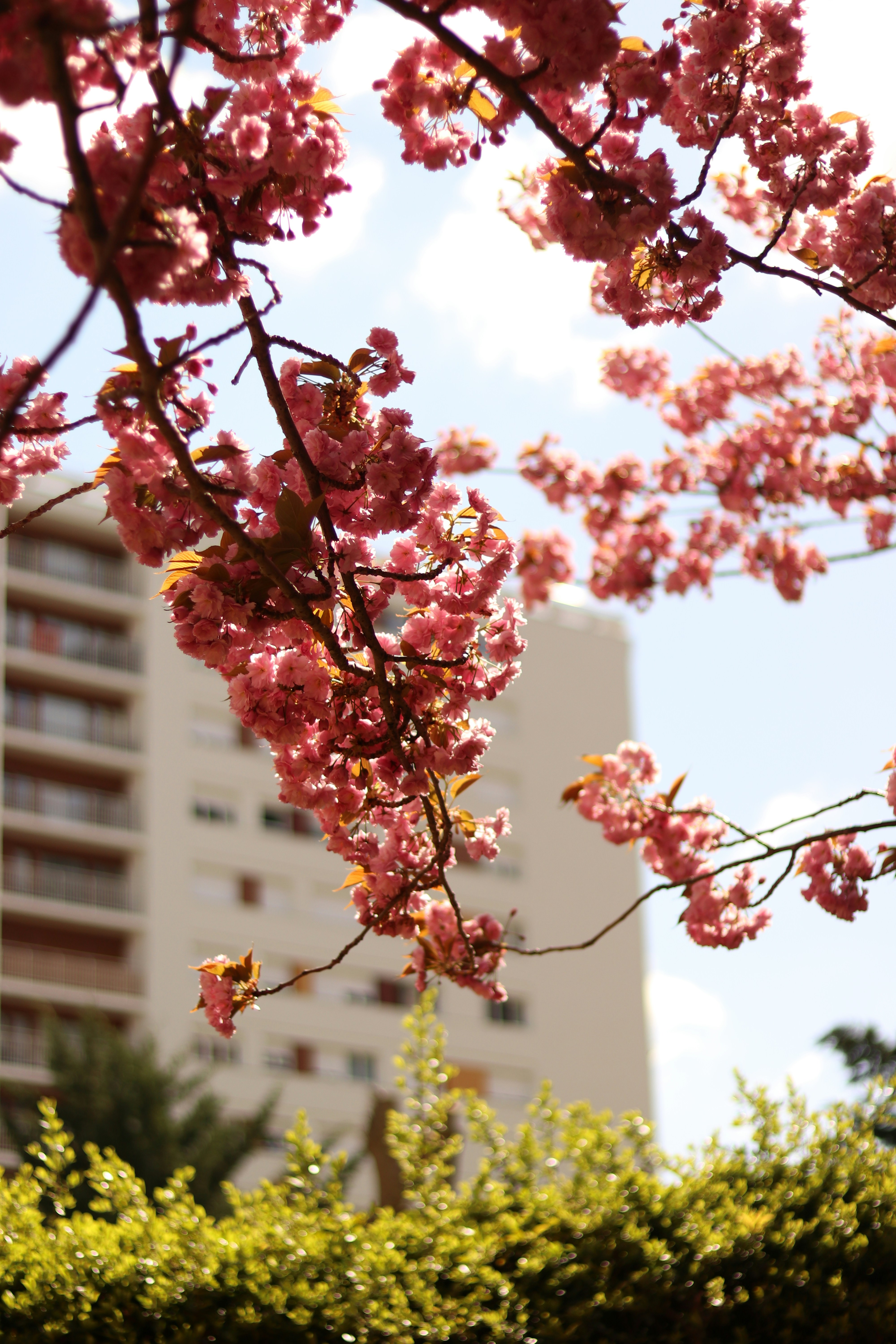 Photo by reloadworld4dreamers