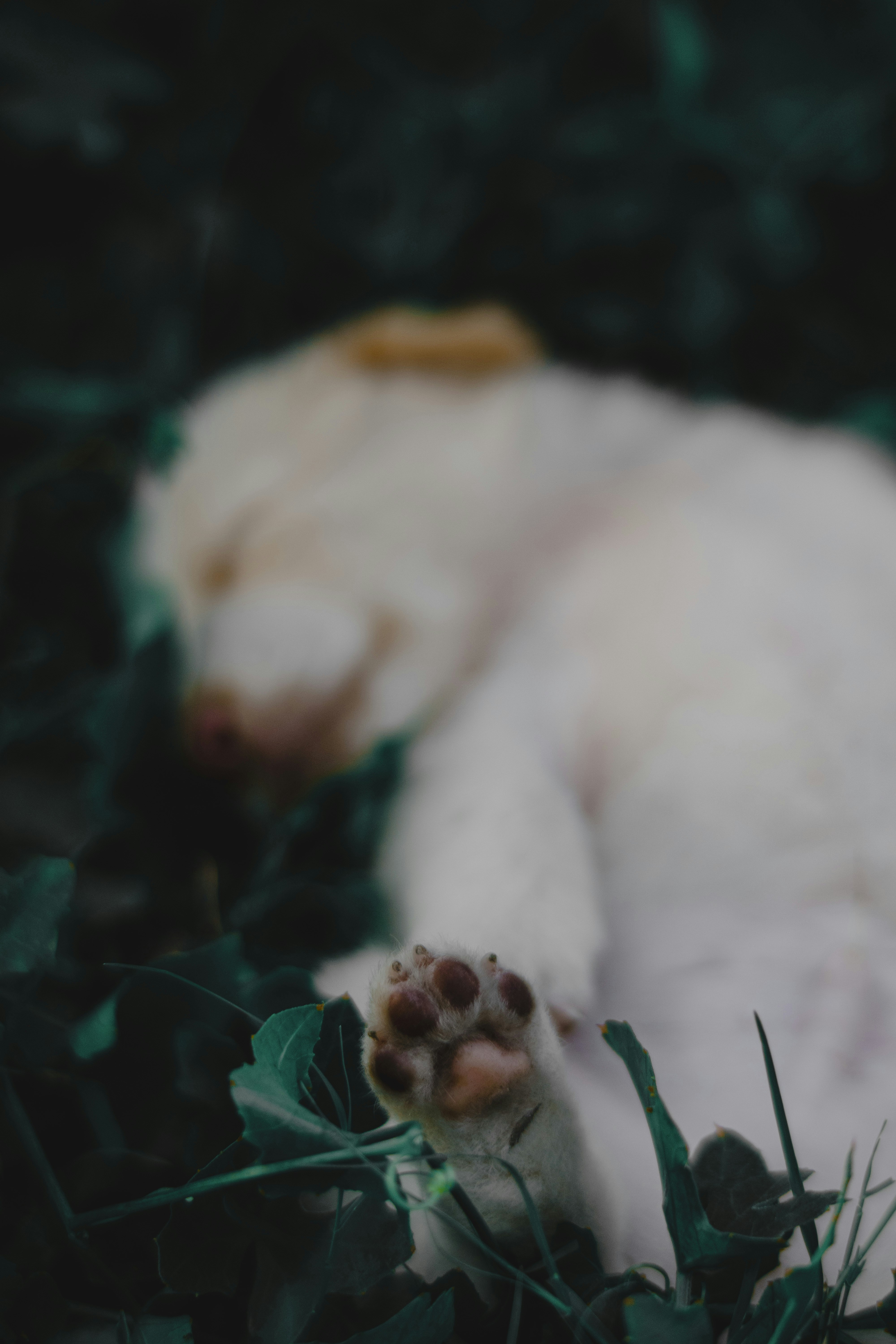 Photo by roadahead_2223