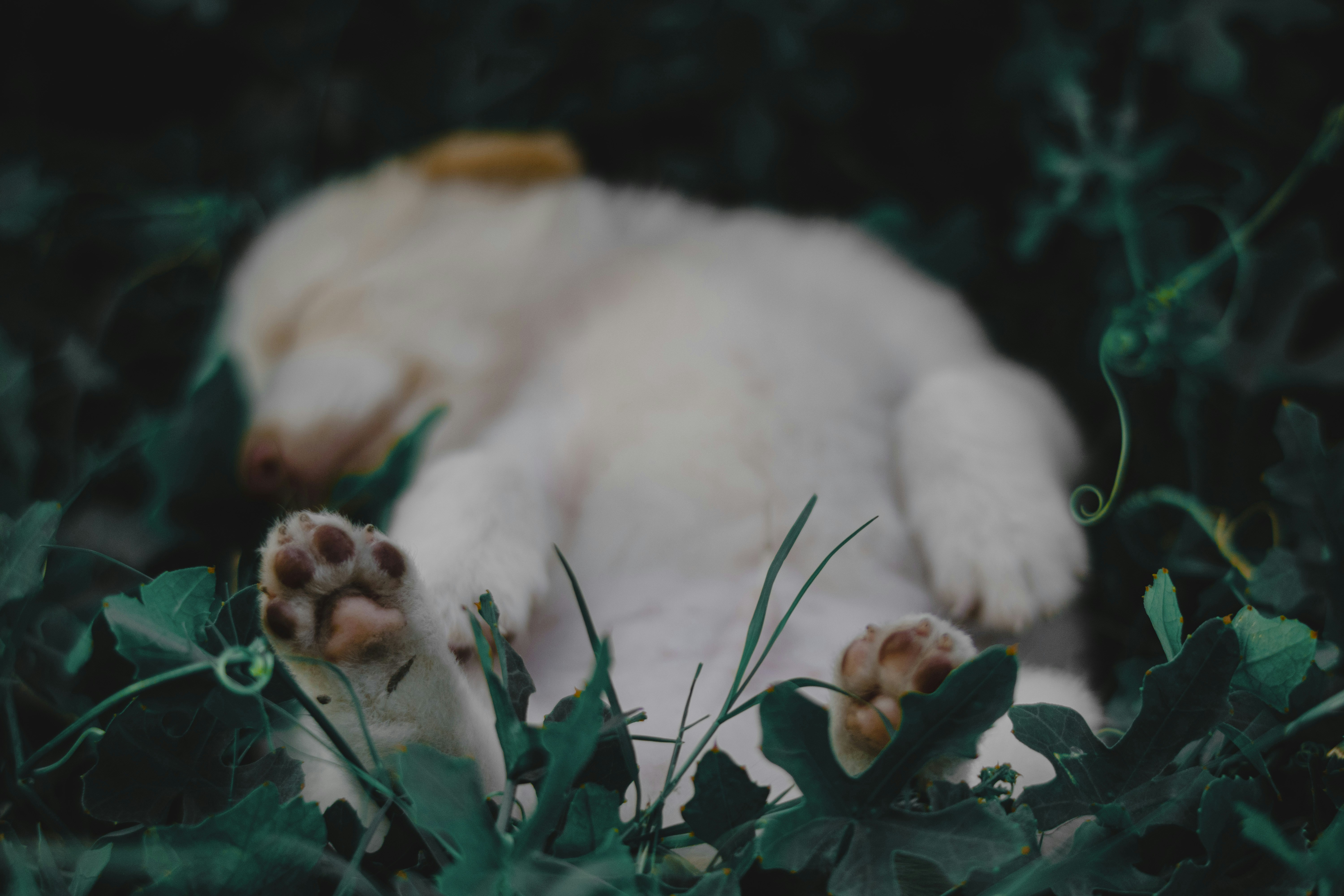 Photo by roadahead_2223