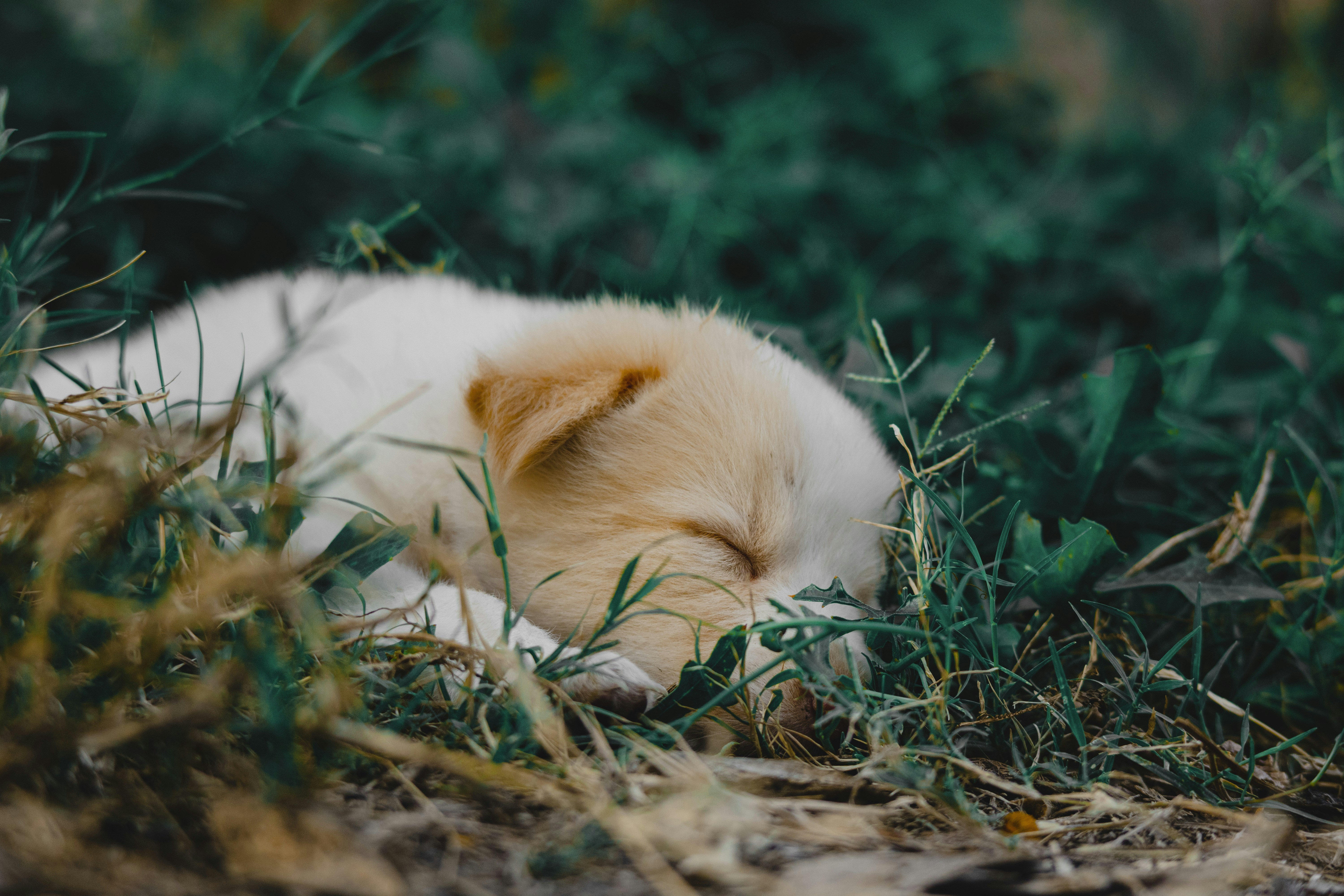 Photo by roadahead_2223