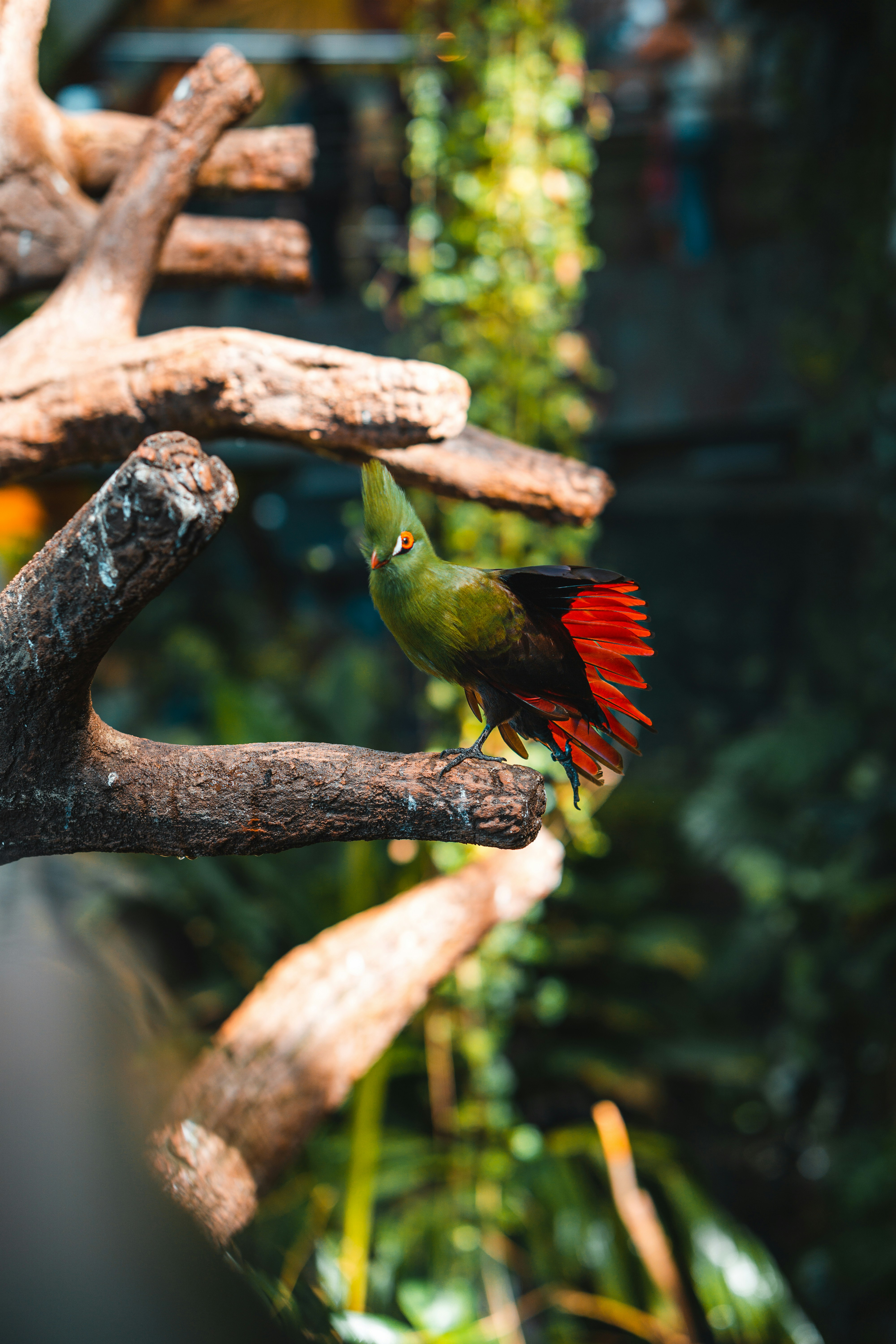 Photo by electerious