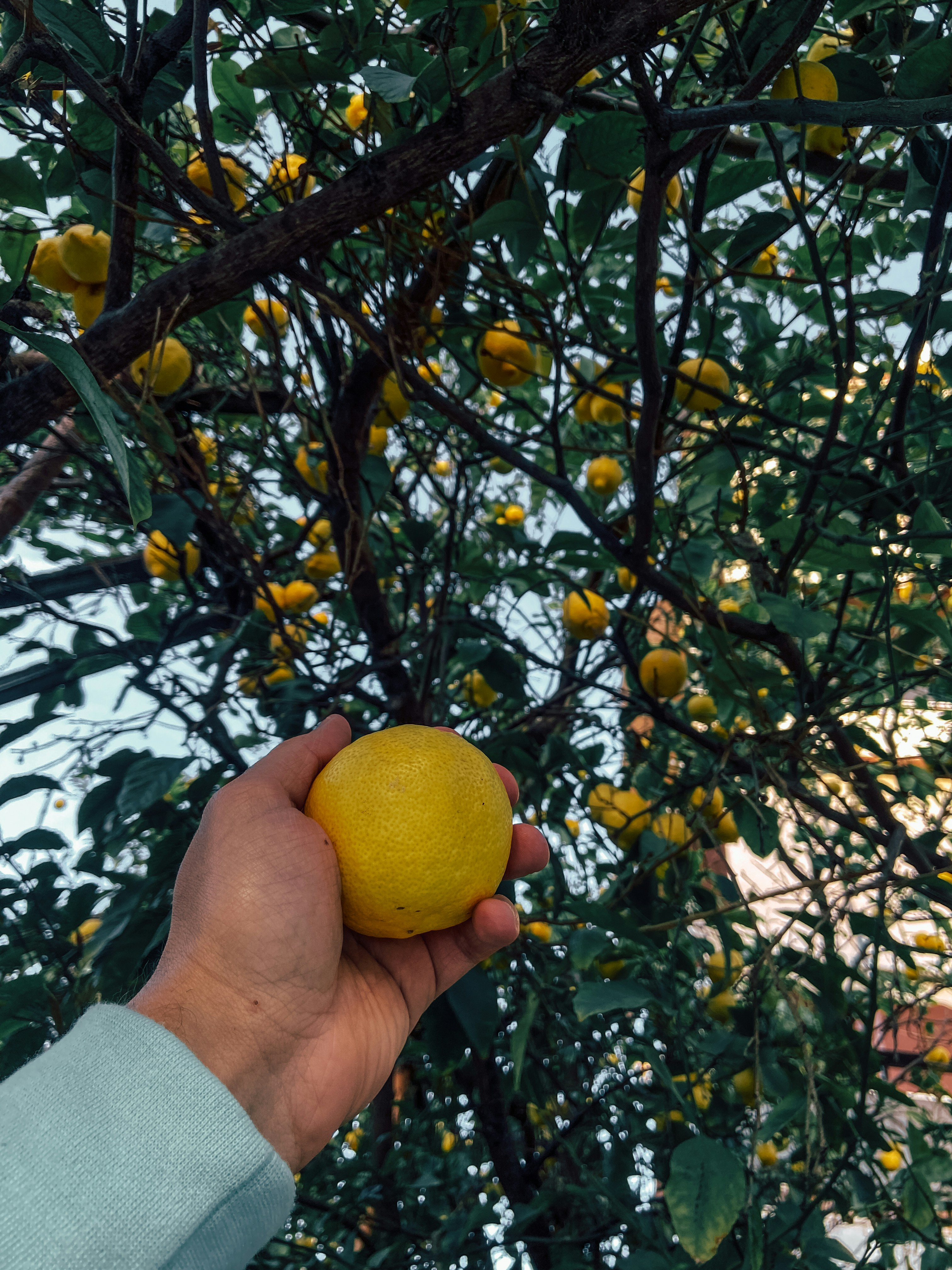 Photo by yauhenihancharenka