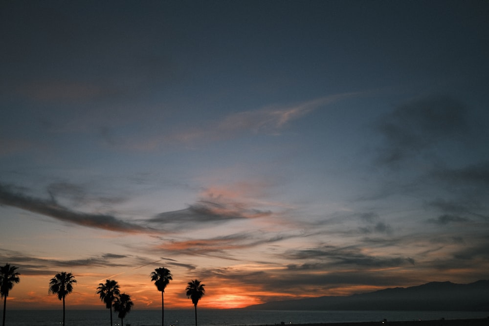 a sunset over a beach with palm trees