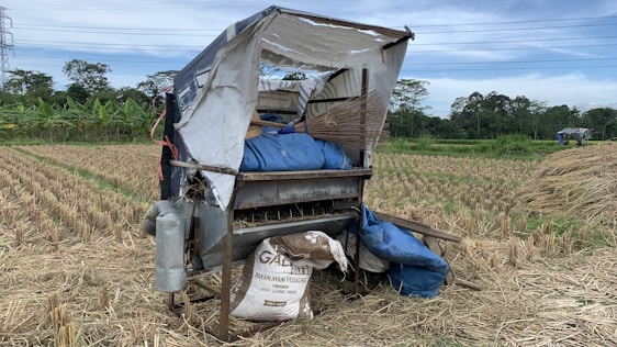 An agricultural machine is situated in a harvested rice field, surrounded by dry straw and a stack of blue tarpaulins. The machine appears to be a thresher, with various mechanisms exposed. In the background, banana trees and other green vegetation are visible, along with a clear blue sky.