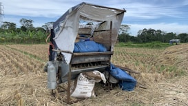 An agricultural machine is situated in a harvested rice field, surrounded by dry straw and a stack of blue tarpaulins. The machine appears to be a thresher, with various mechanisms exposed. In the background, banana trees and other green vegetation are visible, along with a clear blue sky.