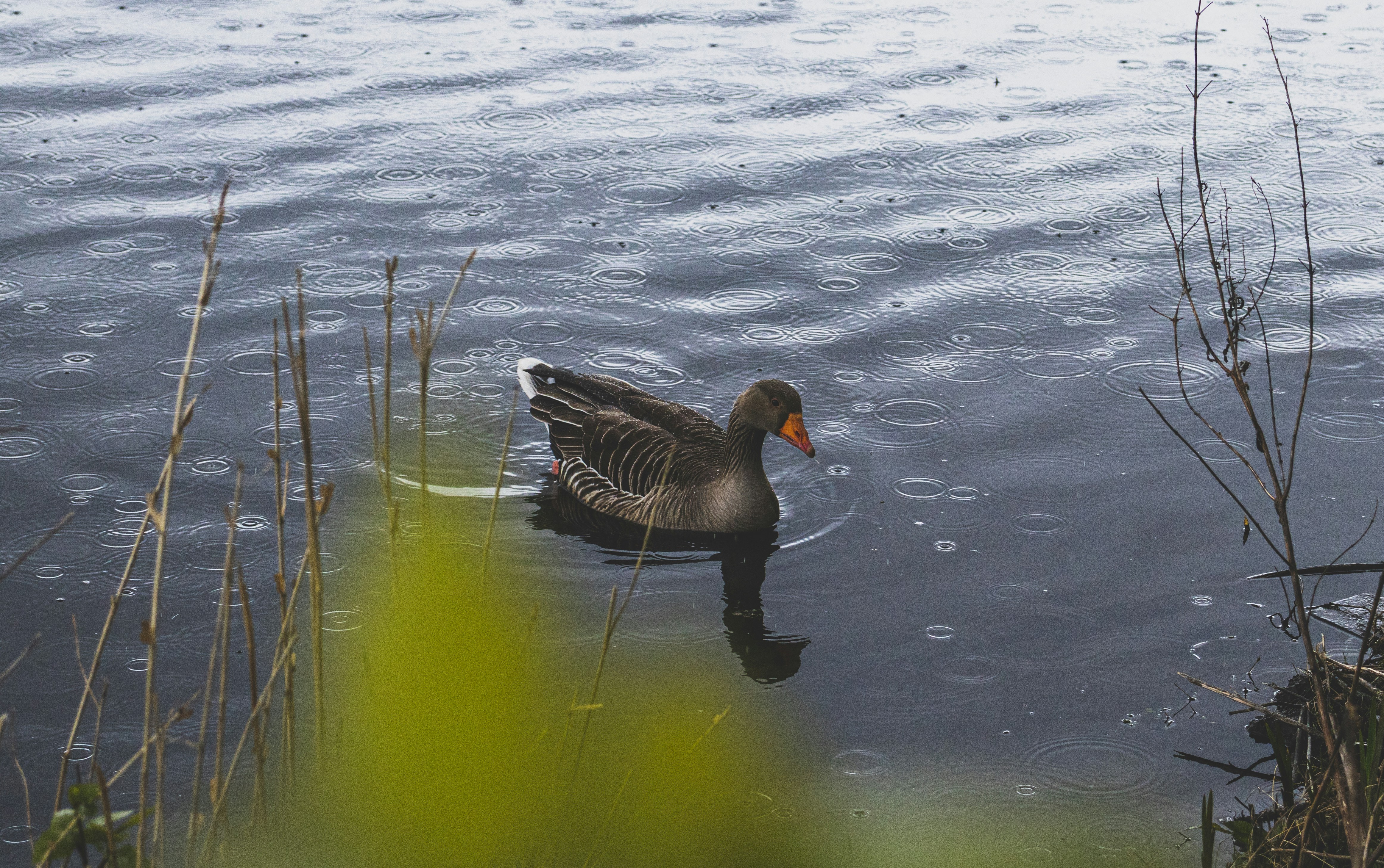 Photo by bcm_photography