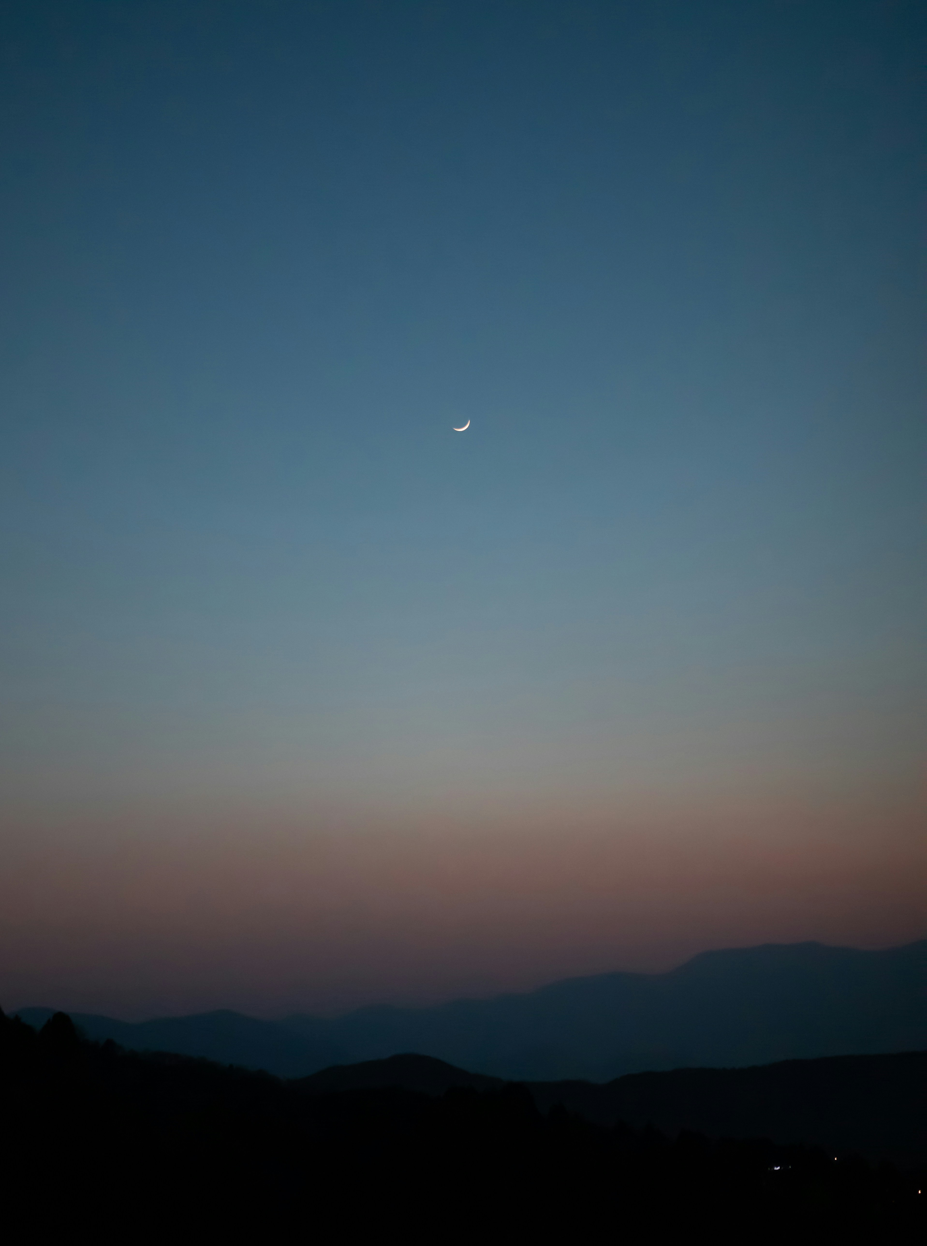 Photo by wudan3551