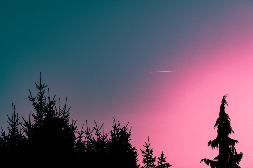 a pink sky with a plane in the distance