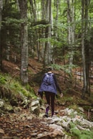 a woman hiking up a rocky trail in the woods
