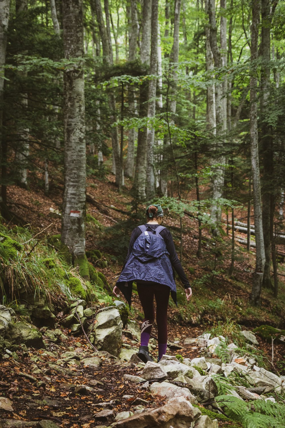 a woman hiking up a rocky trail in the woods