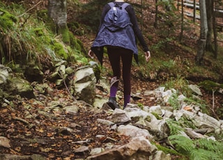 A girl enjoys a late autumn hike through the forests of mount Jakupica