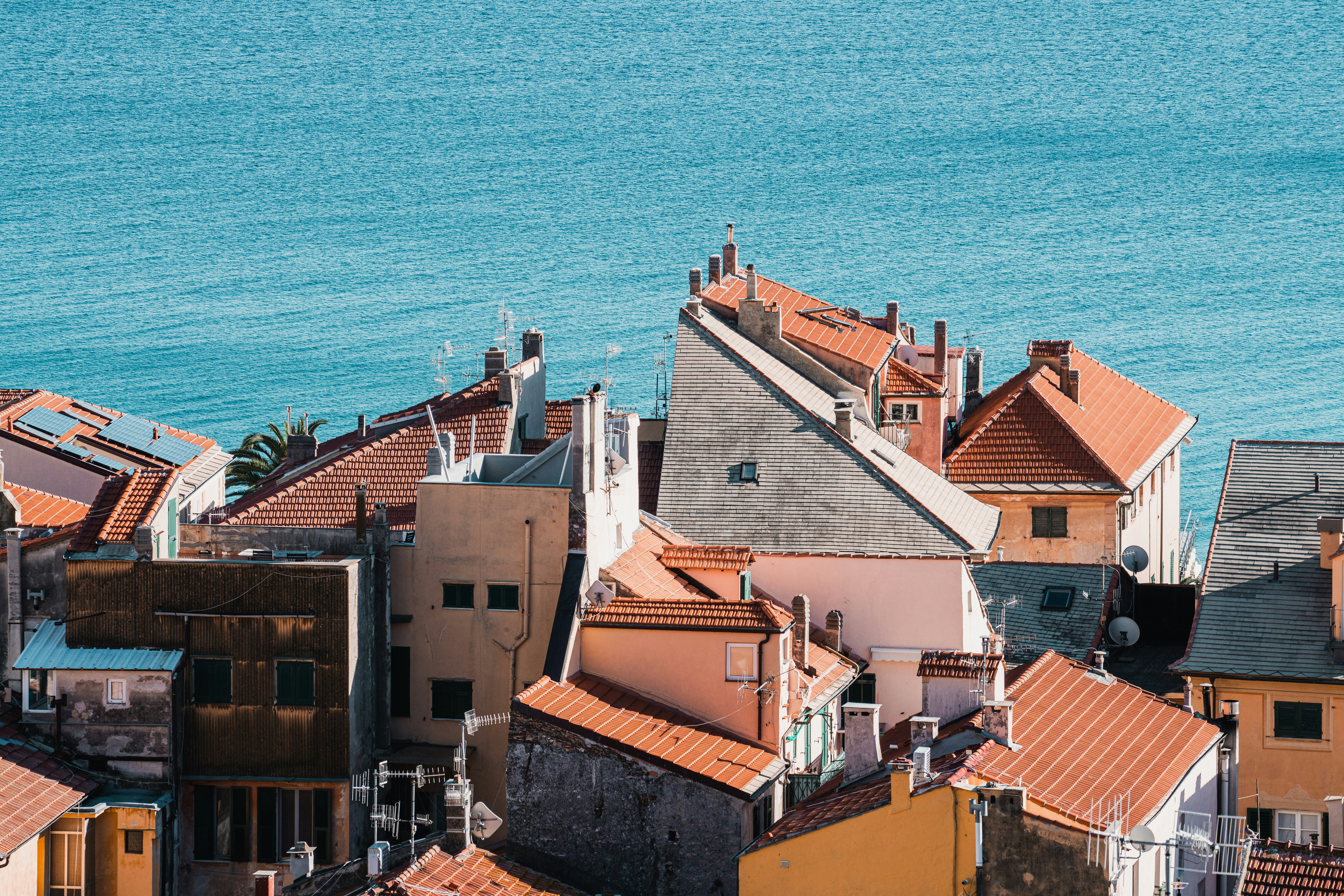 Coniglio alla ligure: la ricetta originale con le olive taggiasche